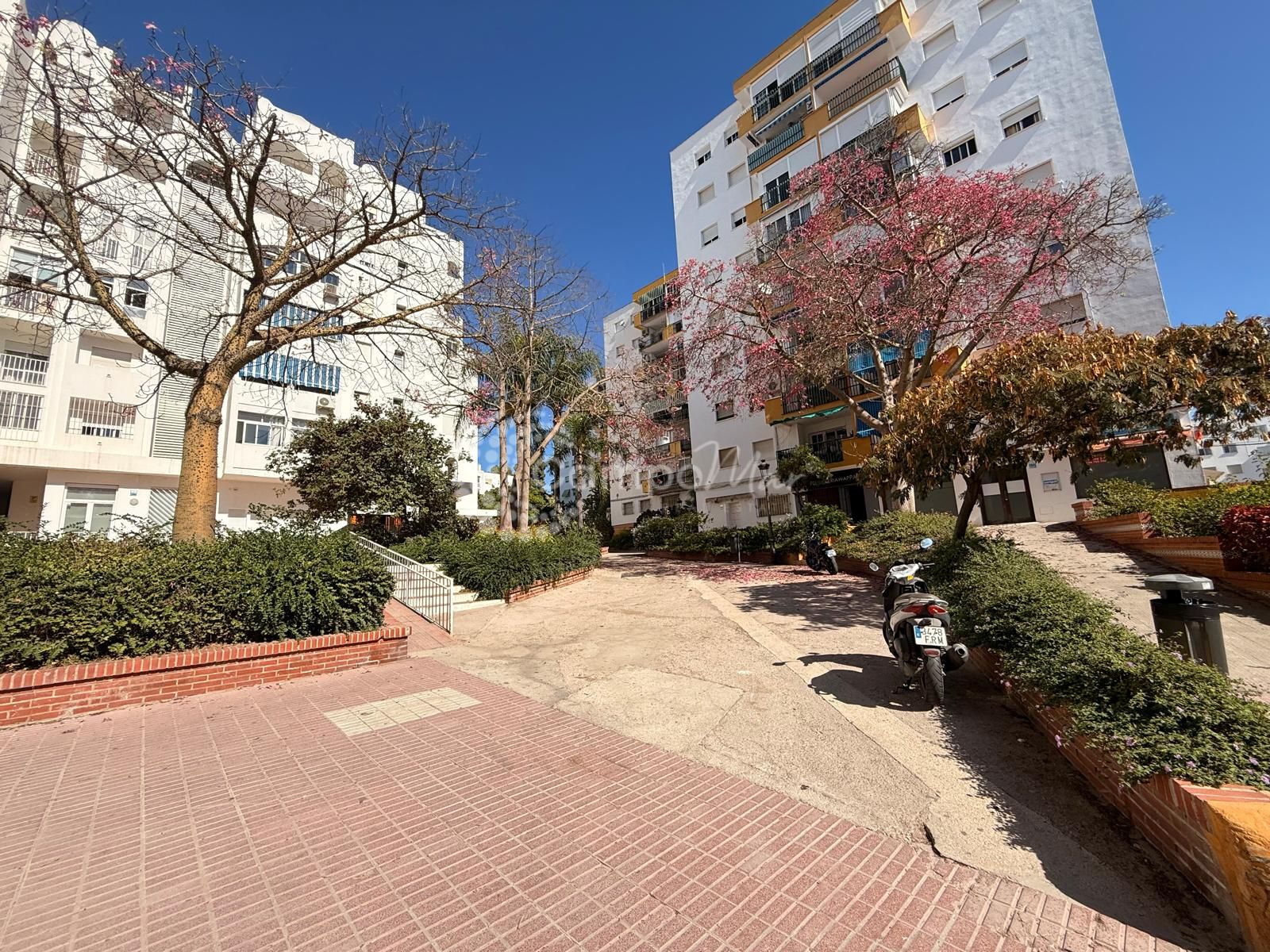 Apartment in Estepona