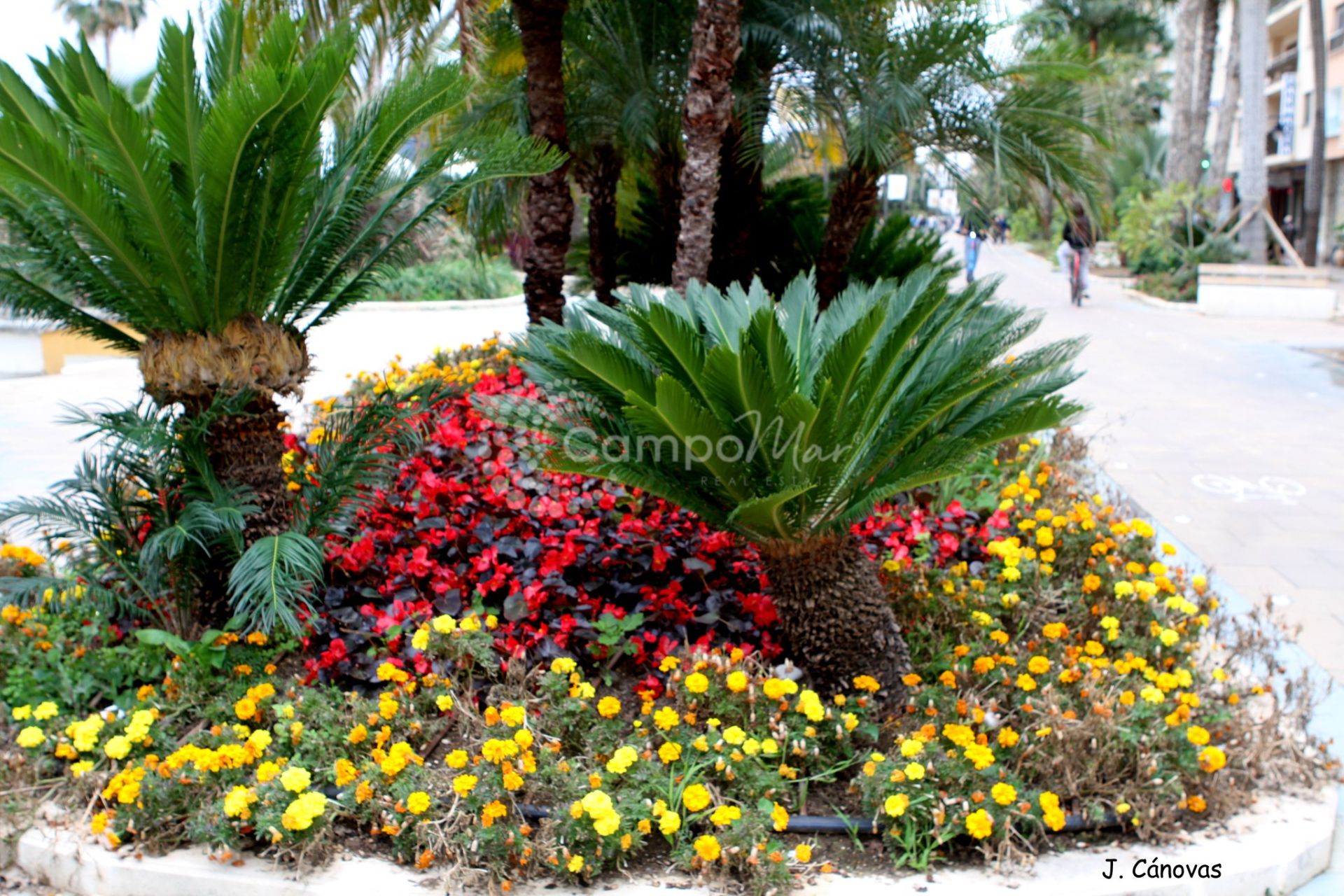 Apartment in Estepona