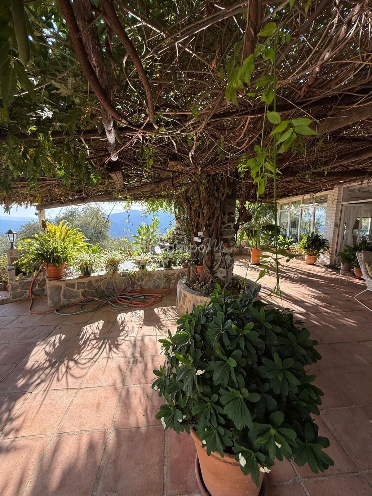 Finca en Genalguacil