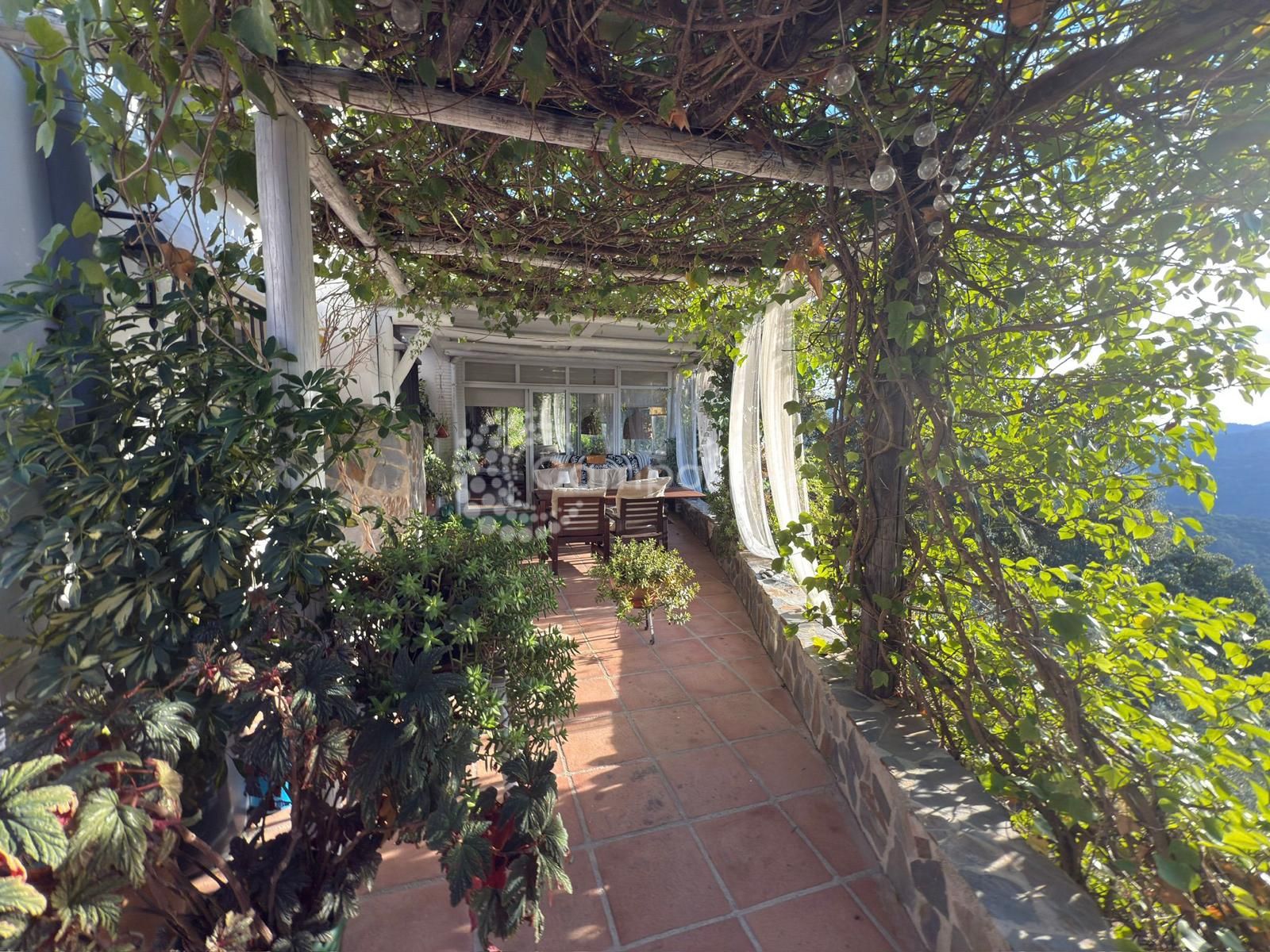 Finca en Genalguacil