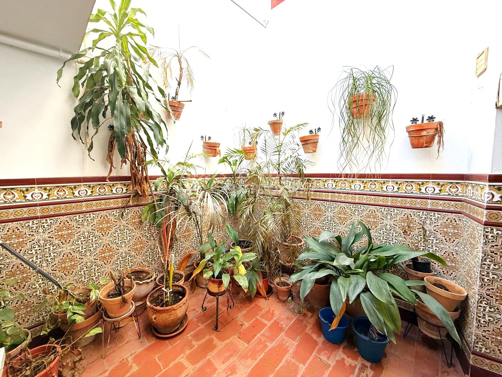 Apartment in Estepona