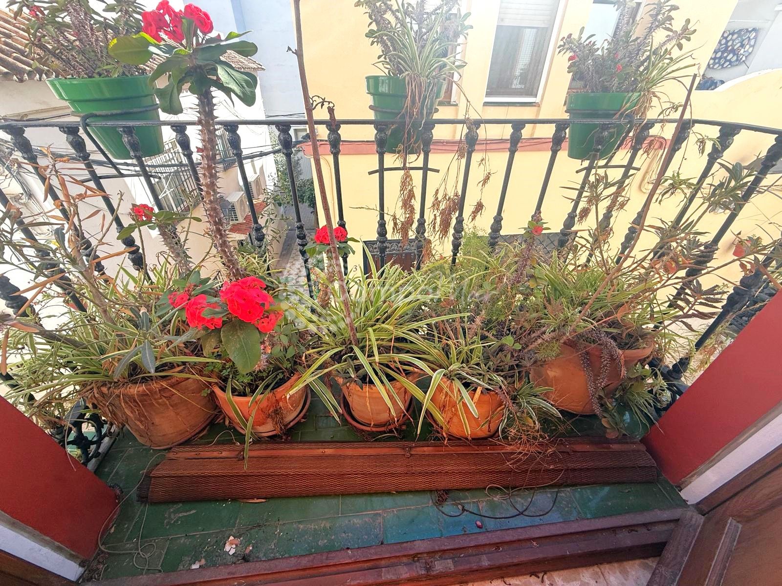 Edificio en Estepona Town, Estepona