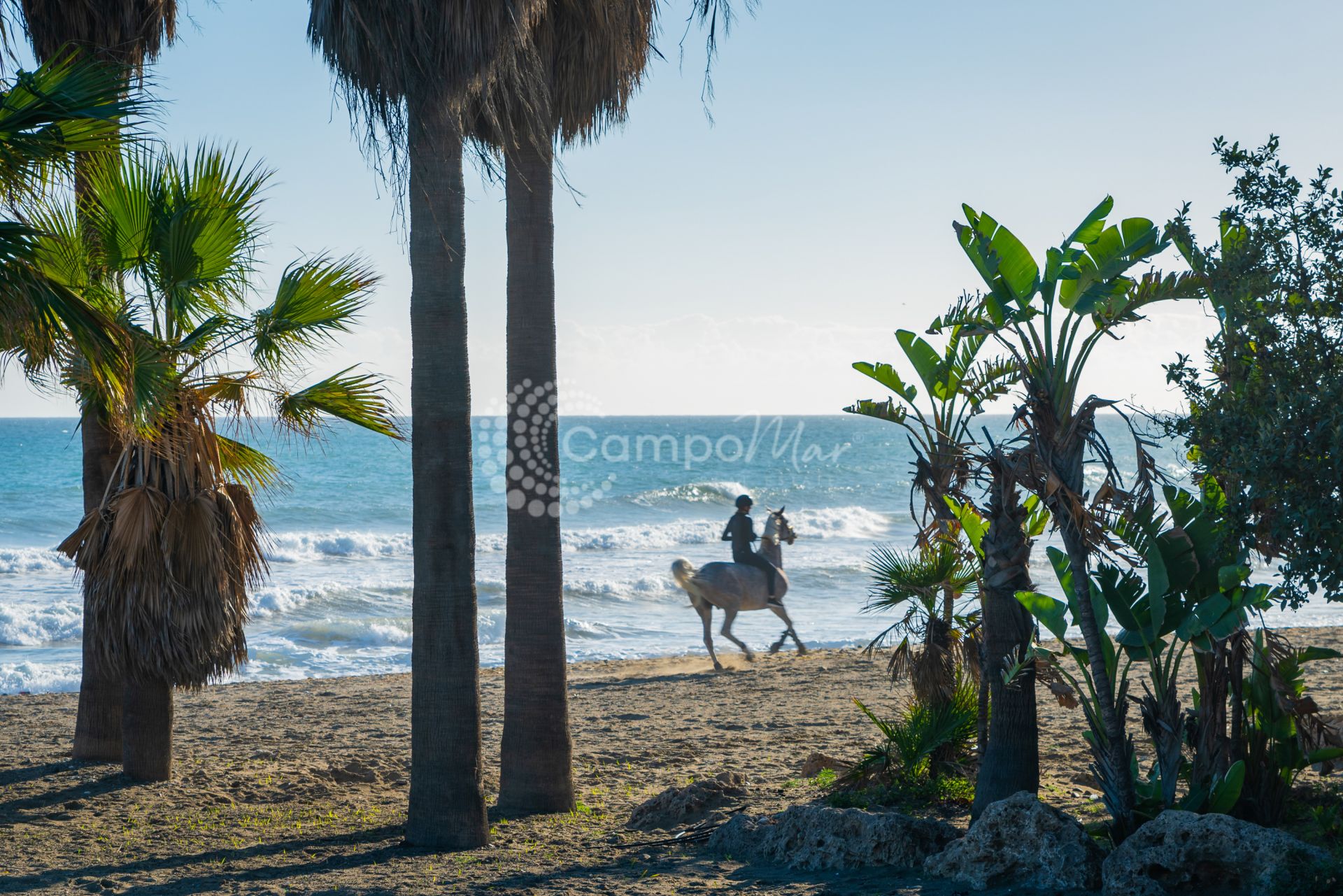 Apartment in Estepona Puerto, Estepona