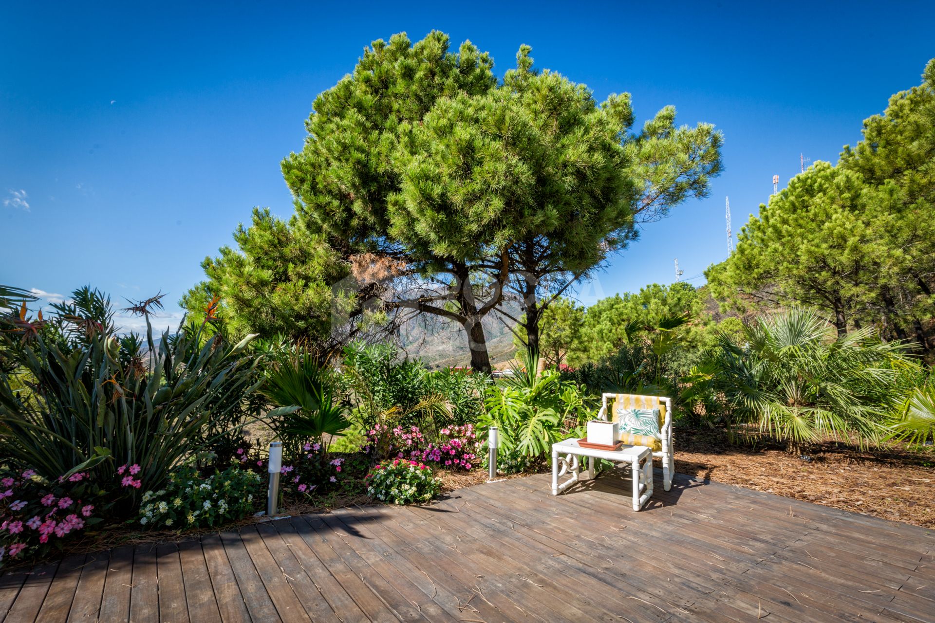 A unique villa that has it all