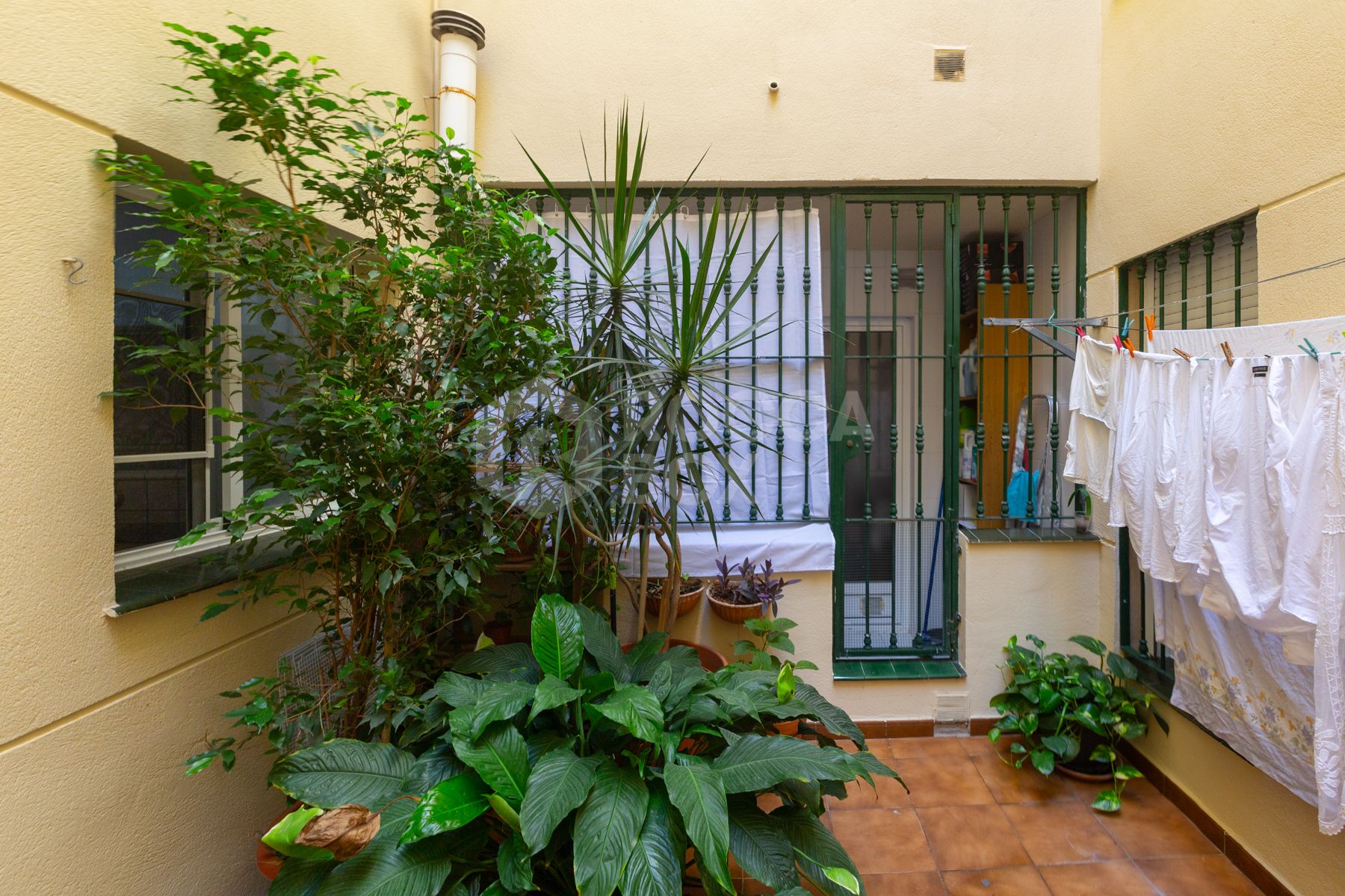 Apartment in Miramar Building, Huerta Nueva