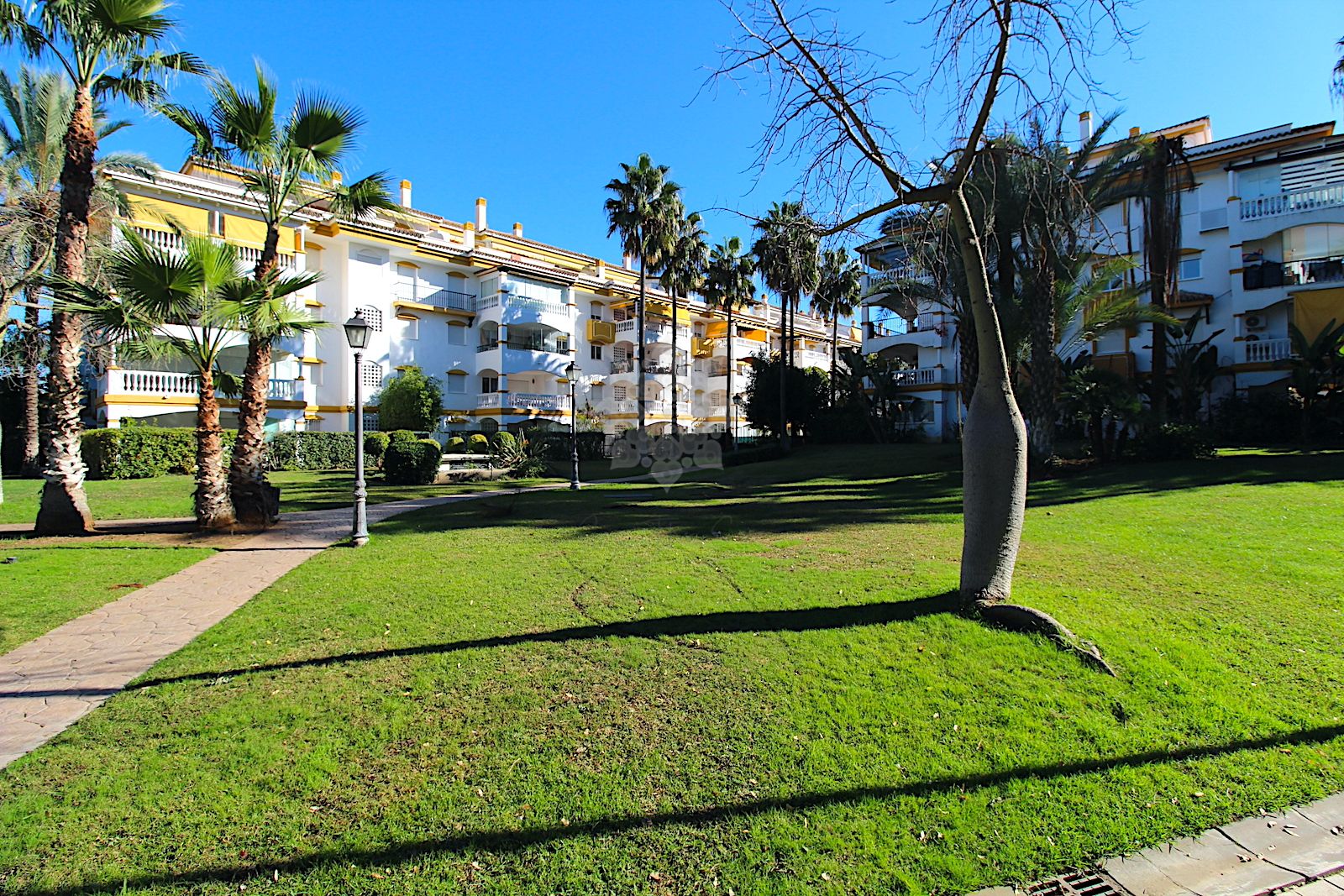 Apartamento Planta Baja en Nueva Andalucia, Marbella