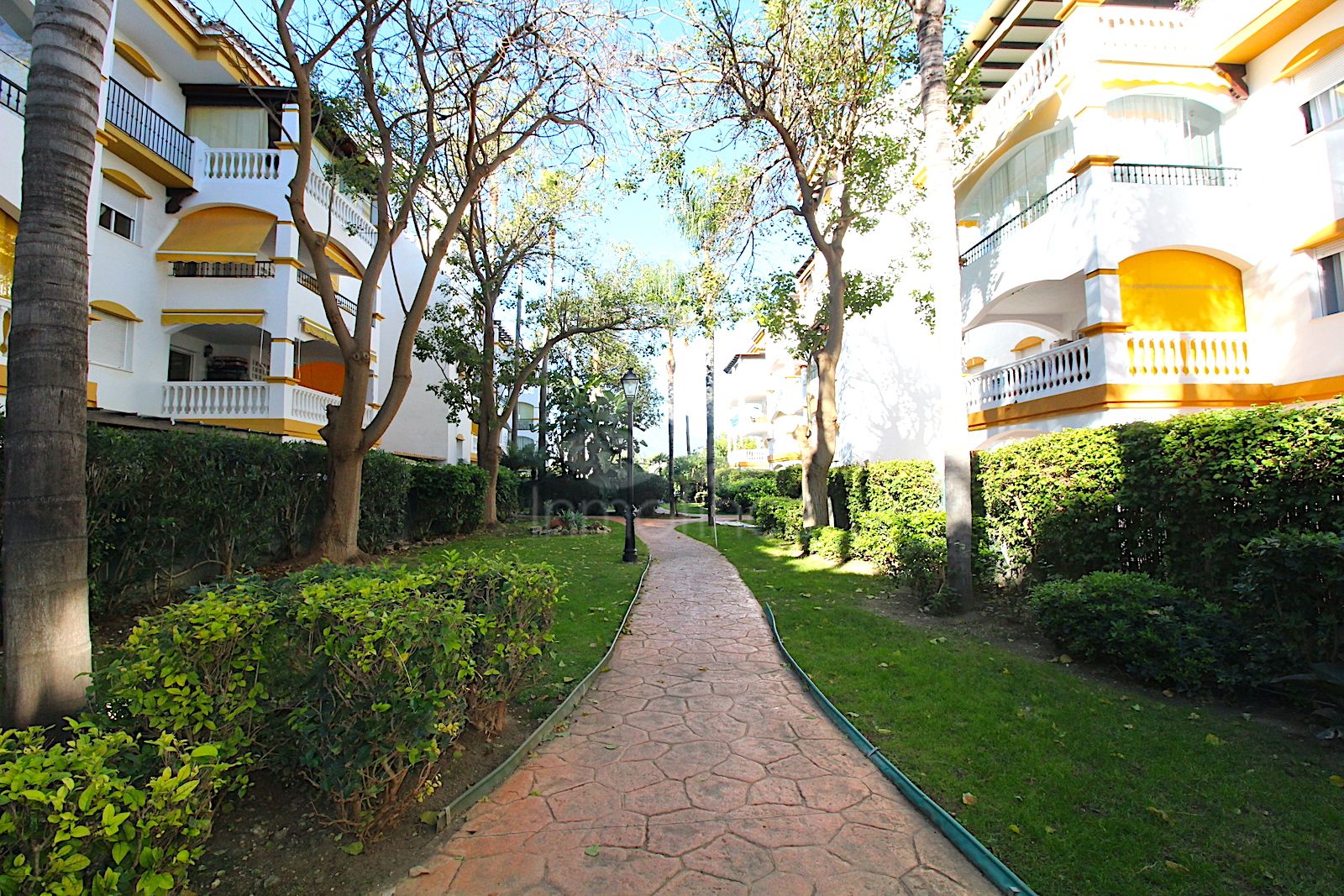 Apartamento Planta Baja en Nueva Andalucia, Marbella