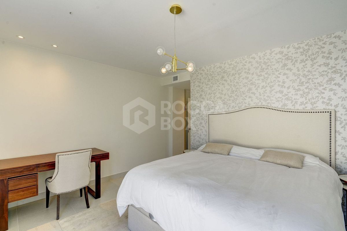 Large south-facing penthouse apartment