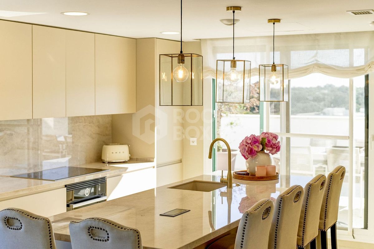 Large south-facing penthouse apartment