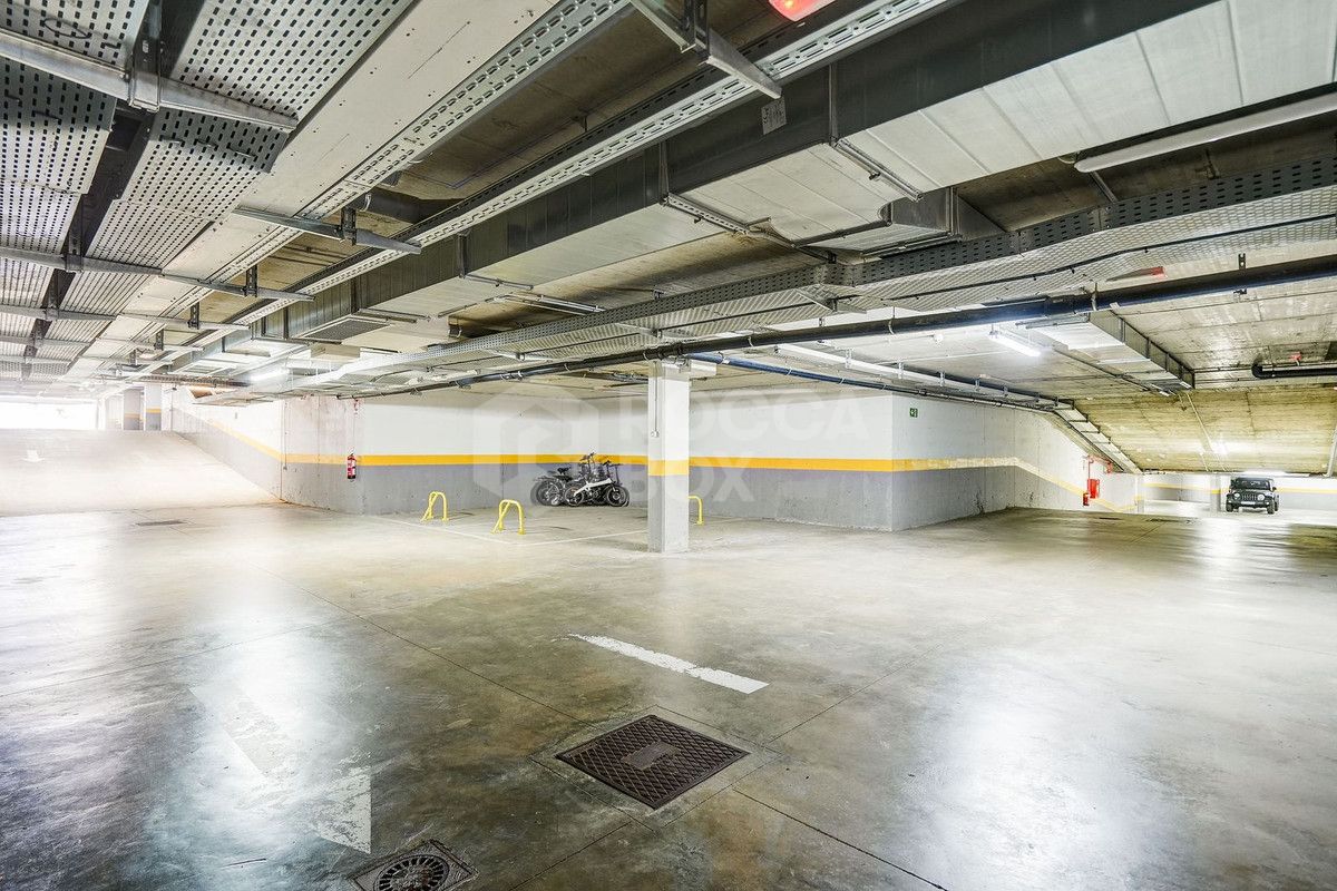 Large south-facing penthouse apartment