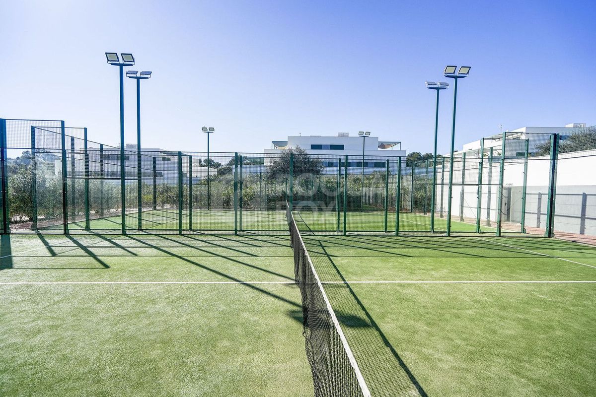 Large south-facing penthouse apartment