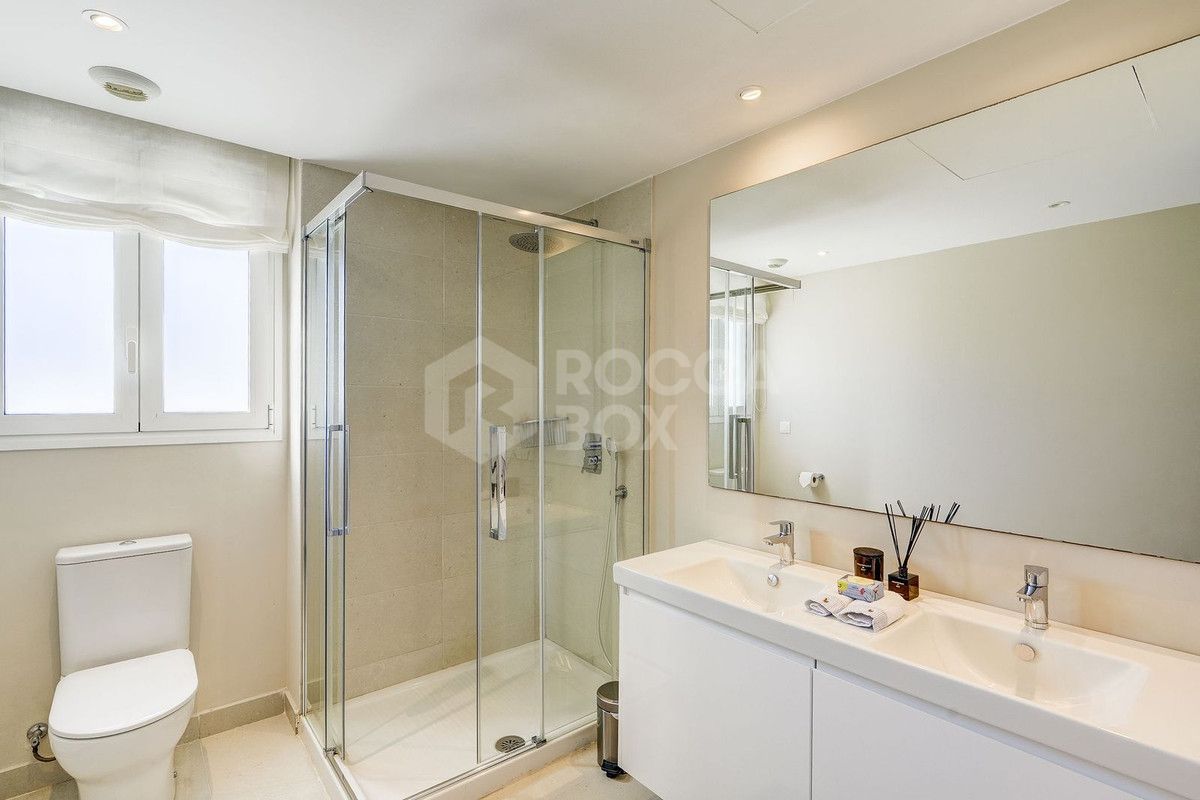 Large south-facing penthouse apartment