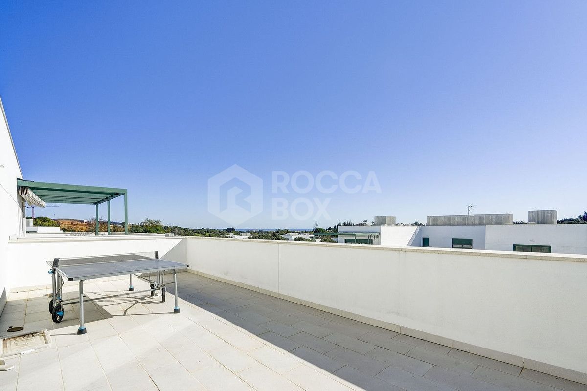 Large south-facing penthouse apartment