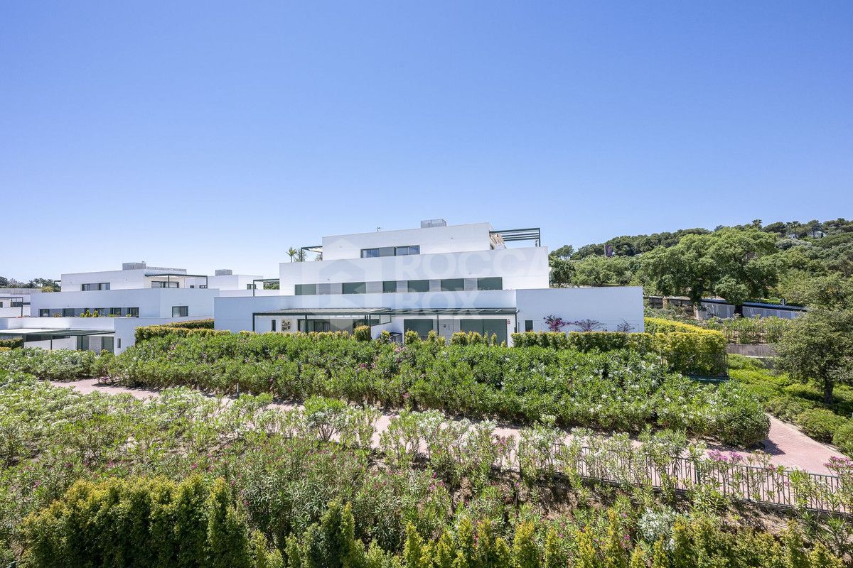 Large south-facing penthouse apartment