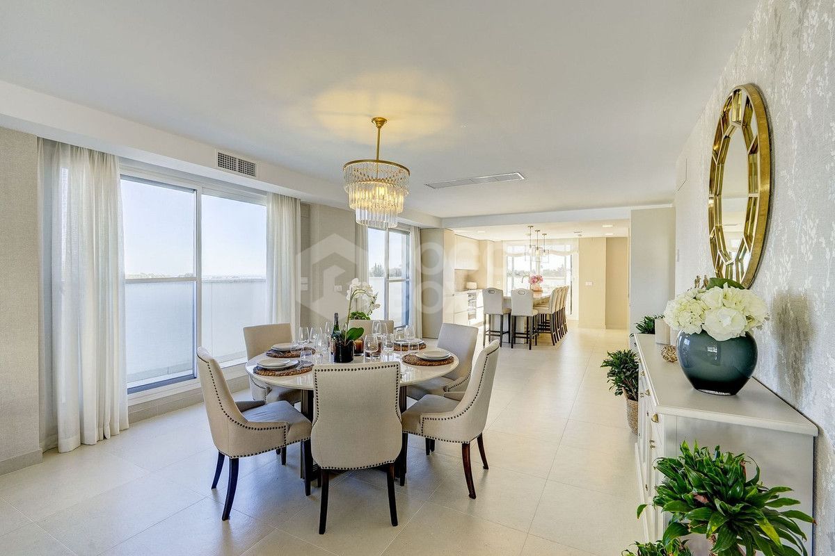 Large south-facing penthouse apartment