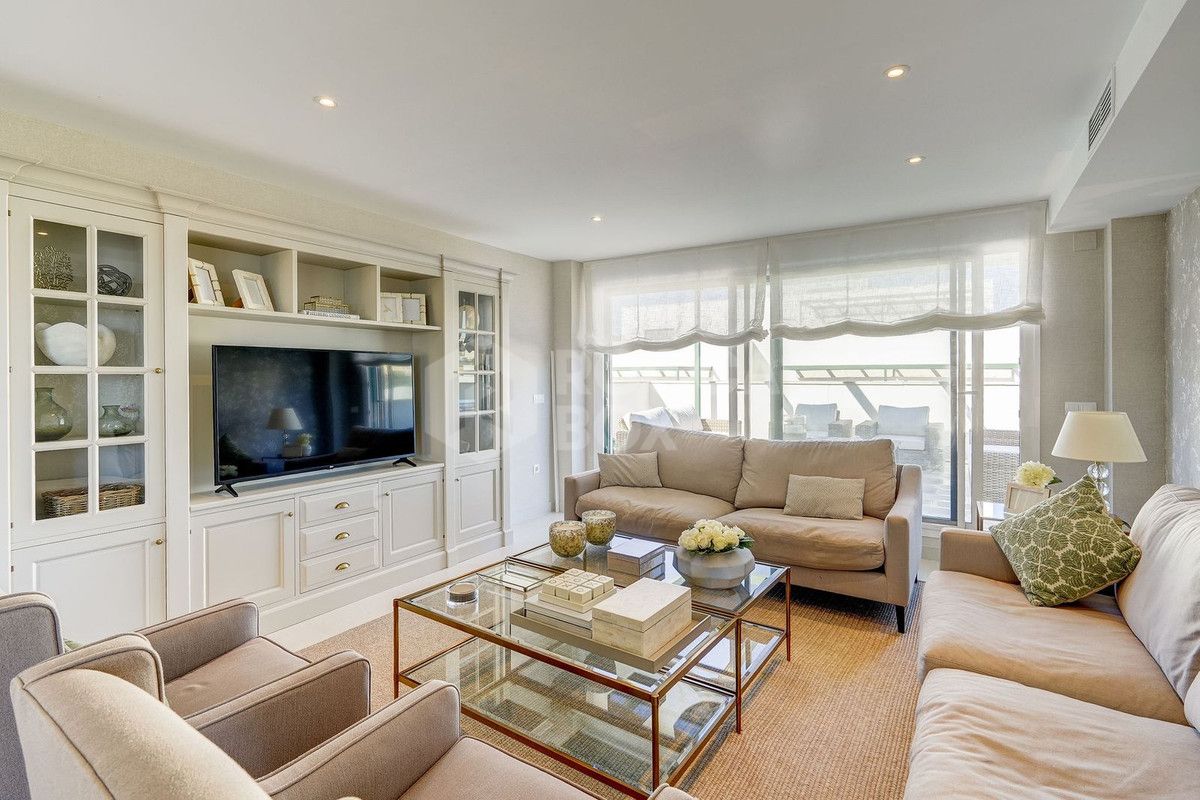 Large south-facing penthouse apartment