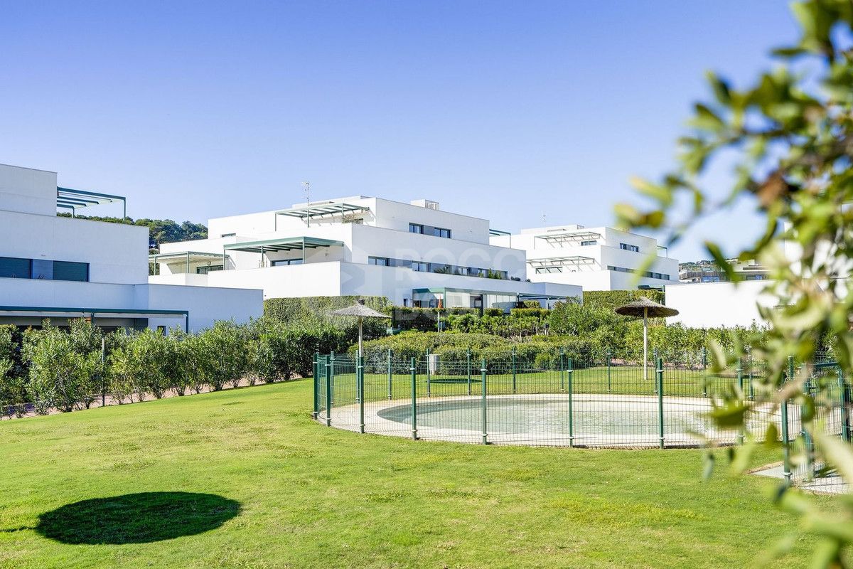 Large south-facing penthouse apartment