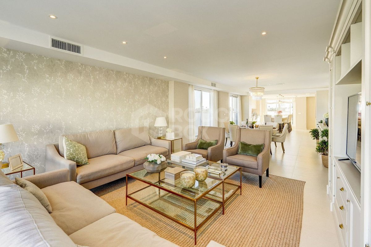 Large south-facing penthouse apartment