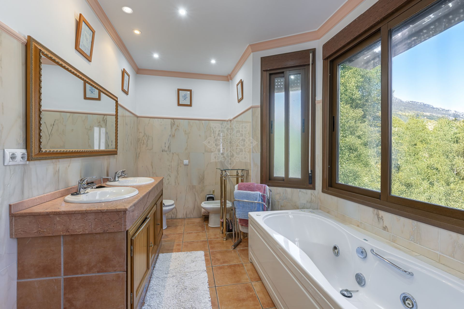 House in El Padron, Estepona