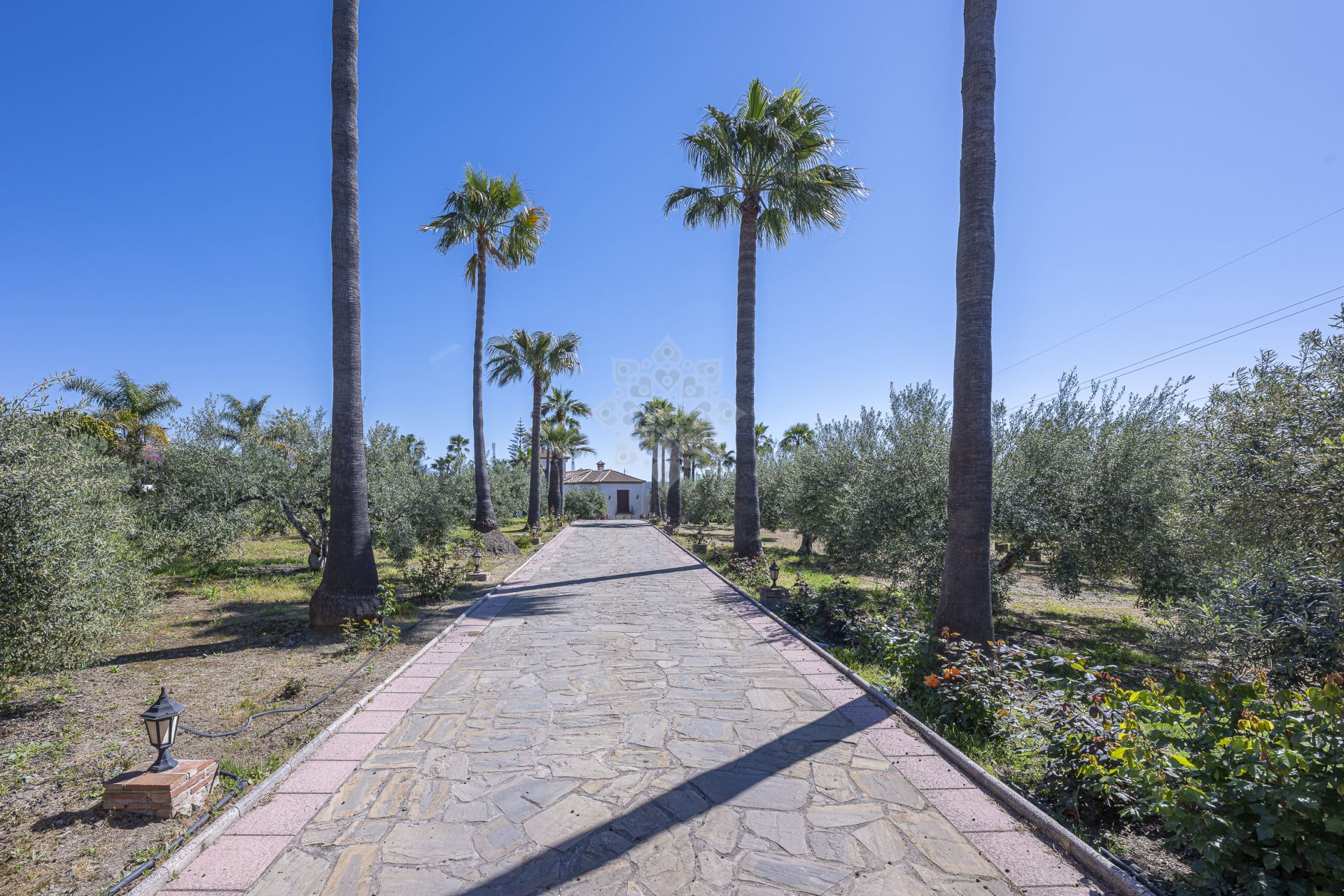 House in El Padron, Estepona