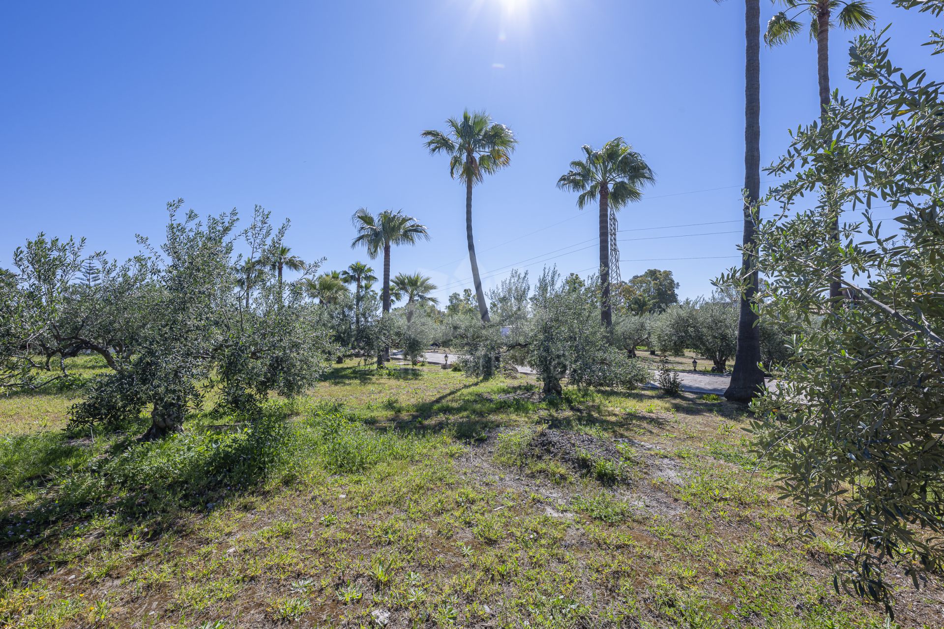 House in El Padron, Estepona