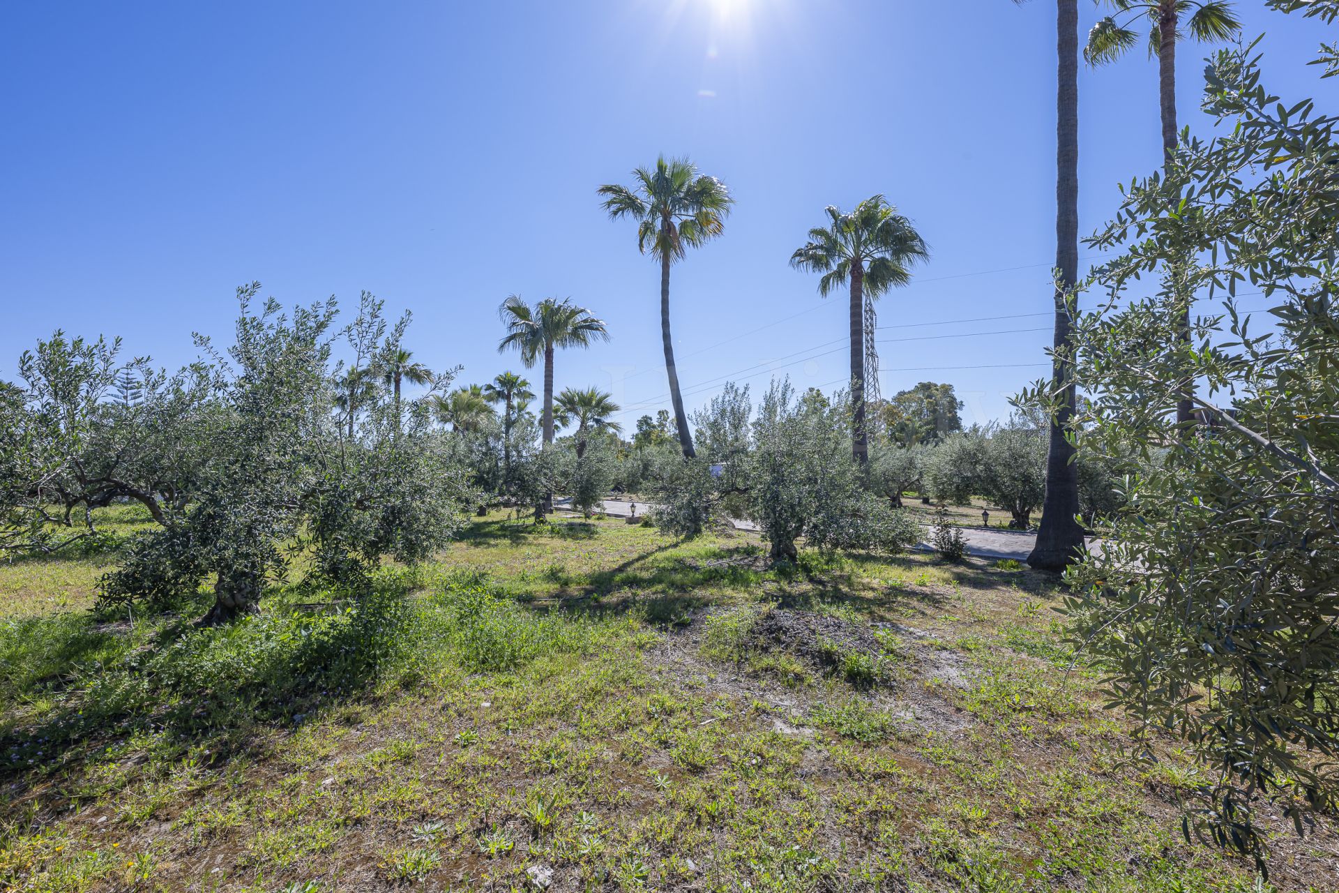 Casa en El Padron, Estepona