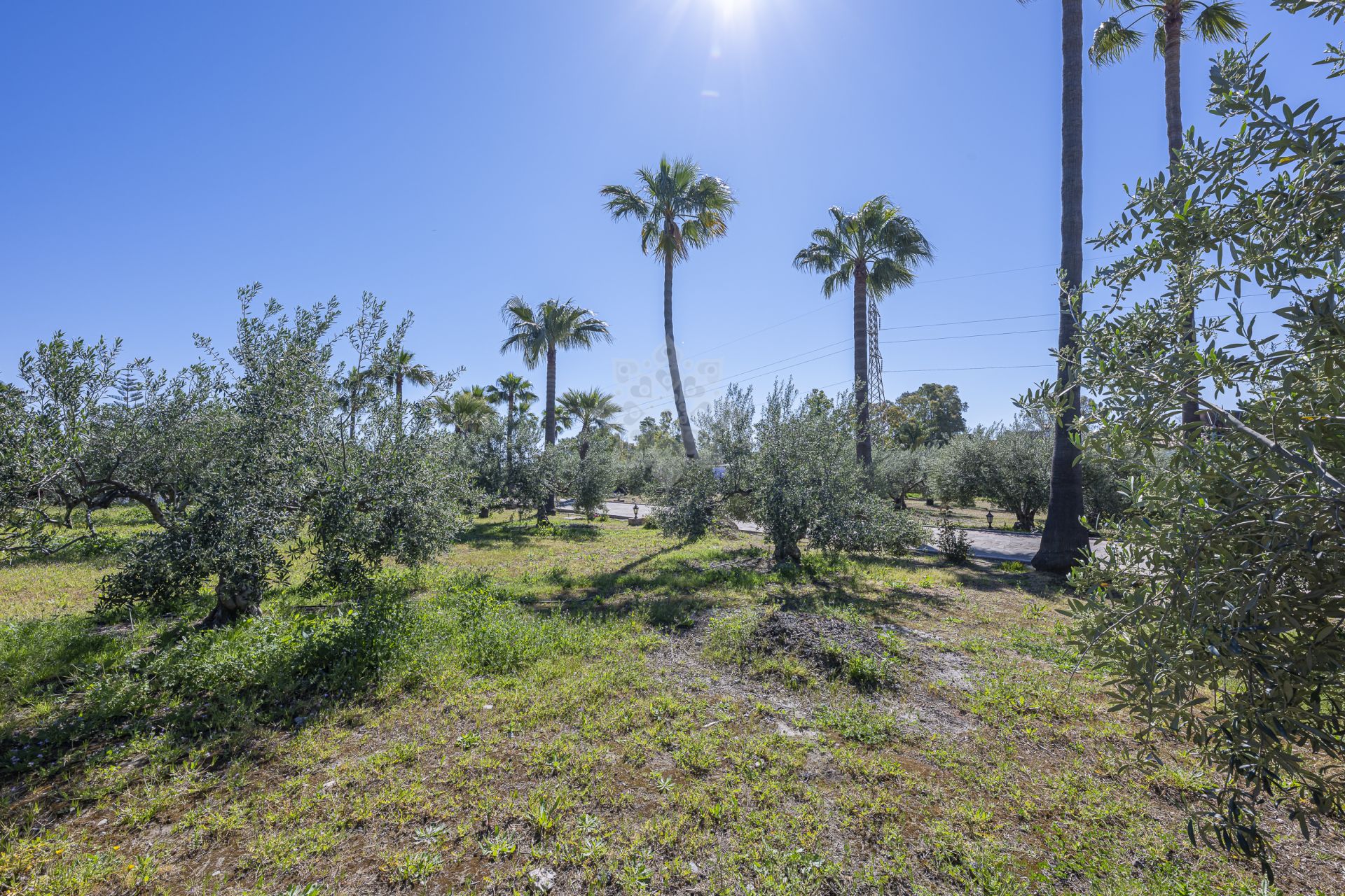 House in El Padron, Estepona