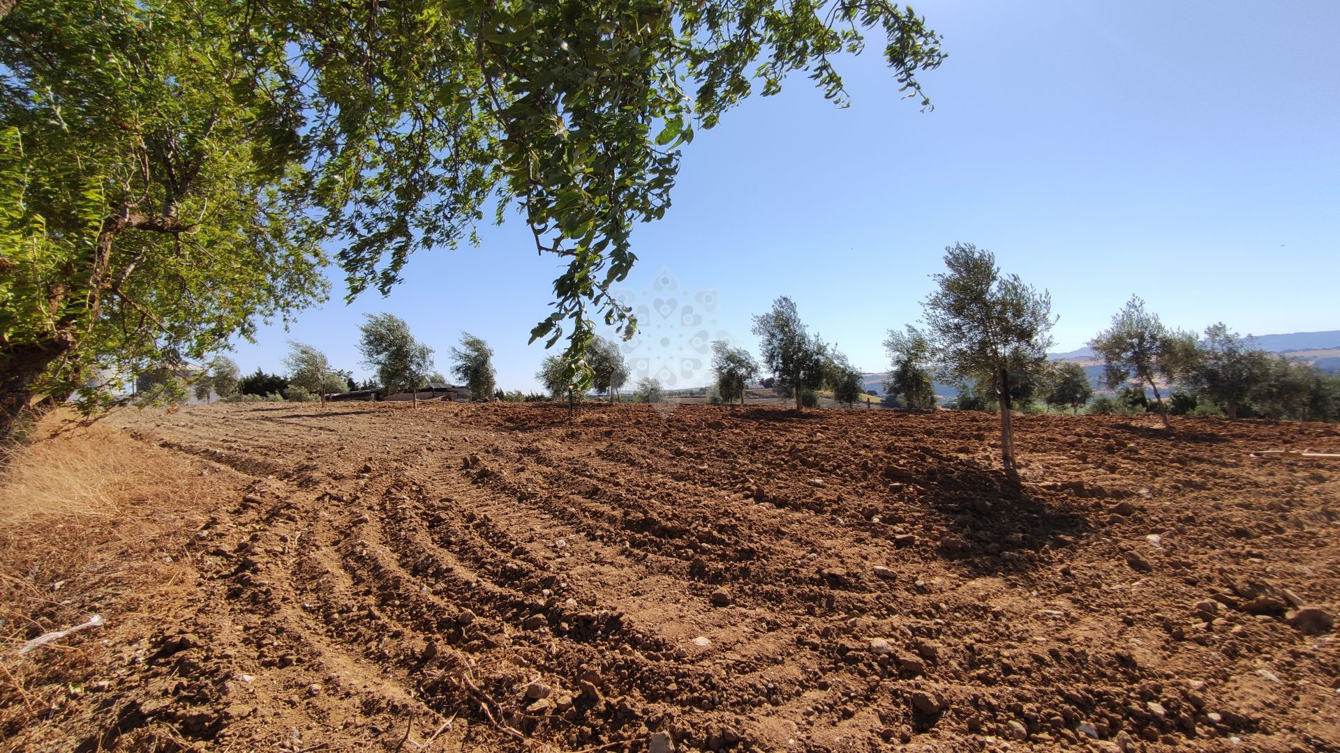 Casa de Campo en Ronda