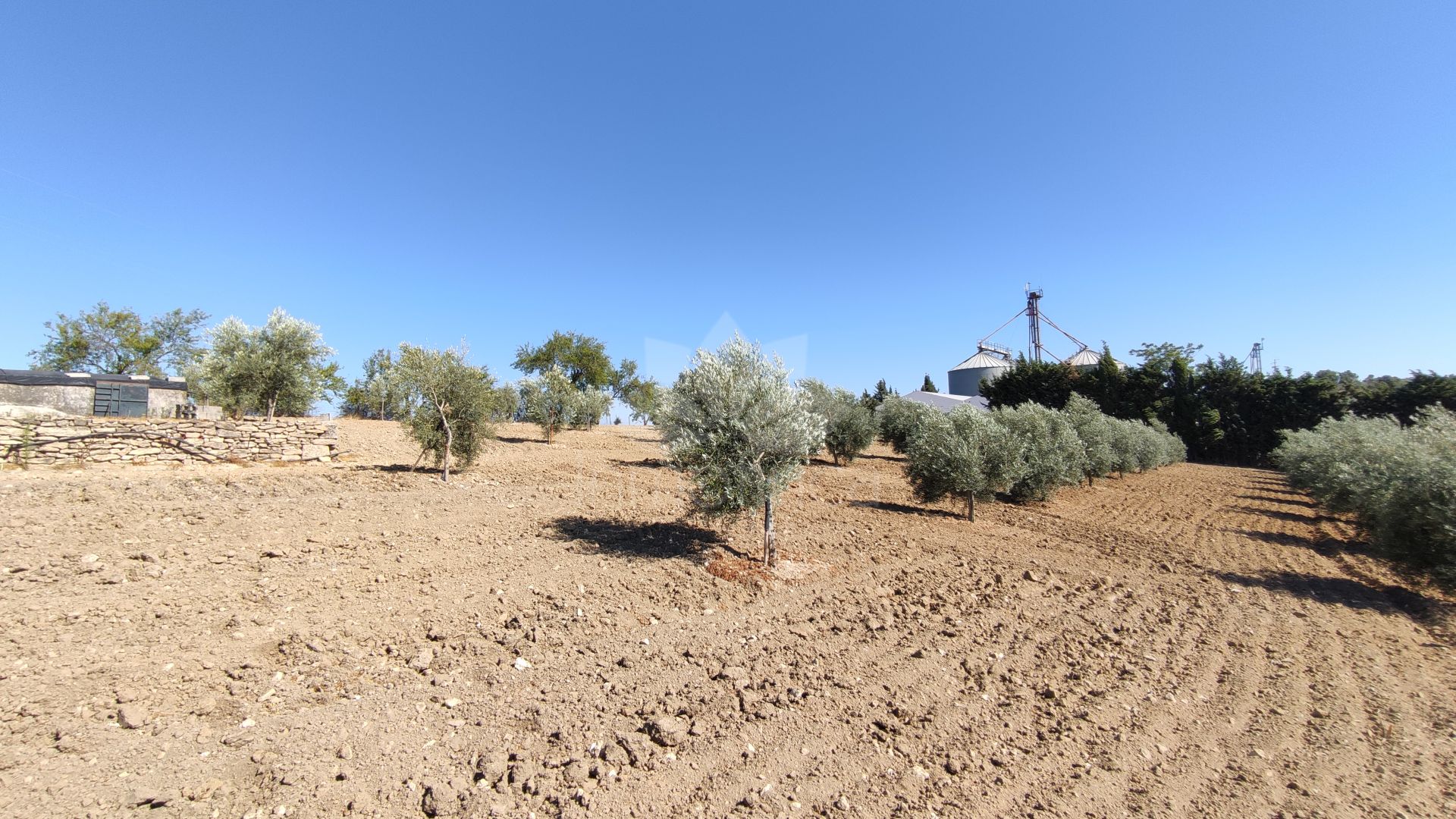 Country House in Ronda