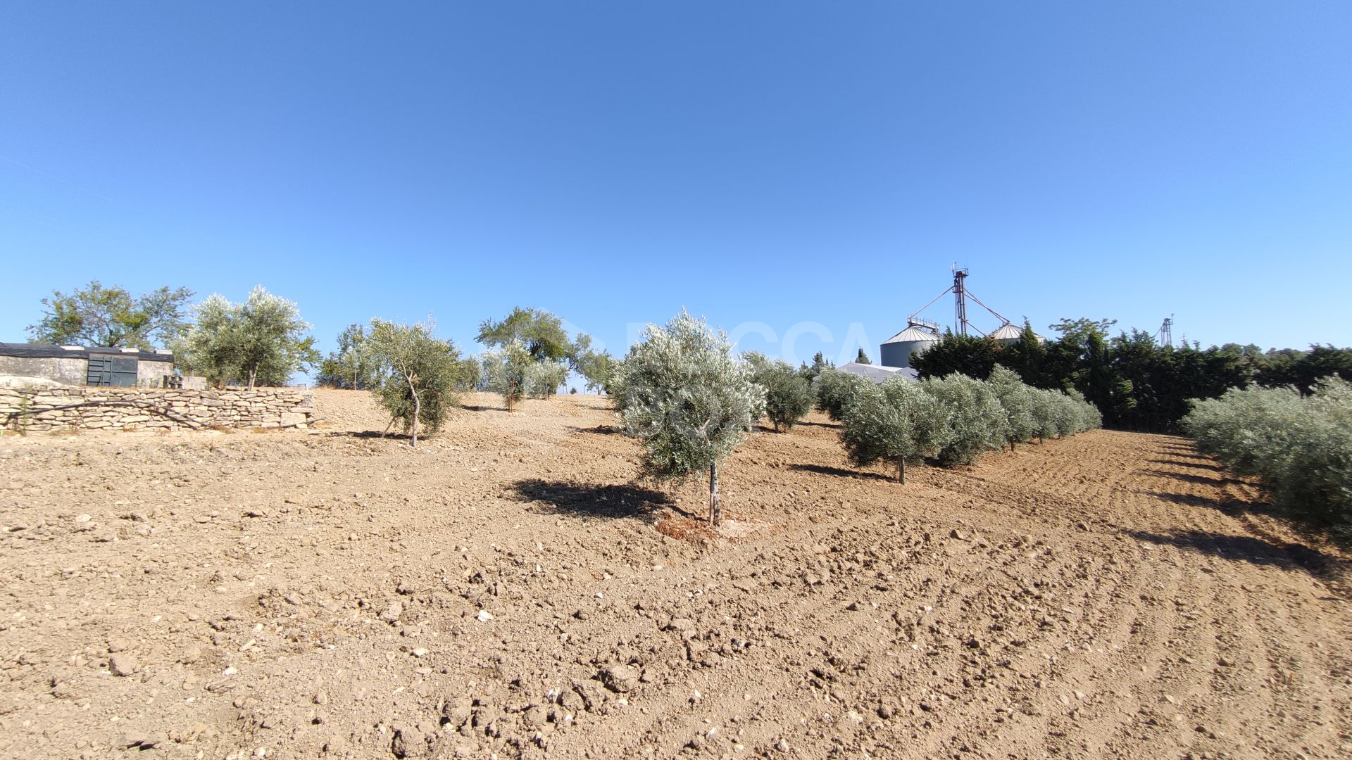Rustic property in Ronda
