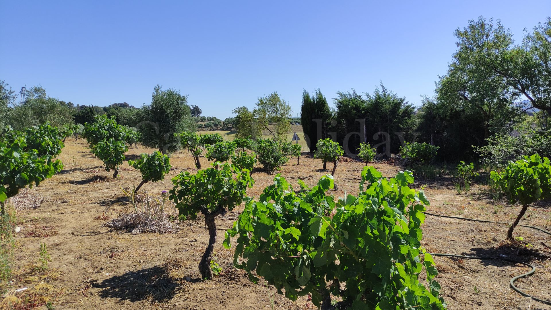 Country House in Ronda