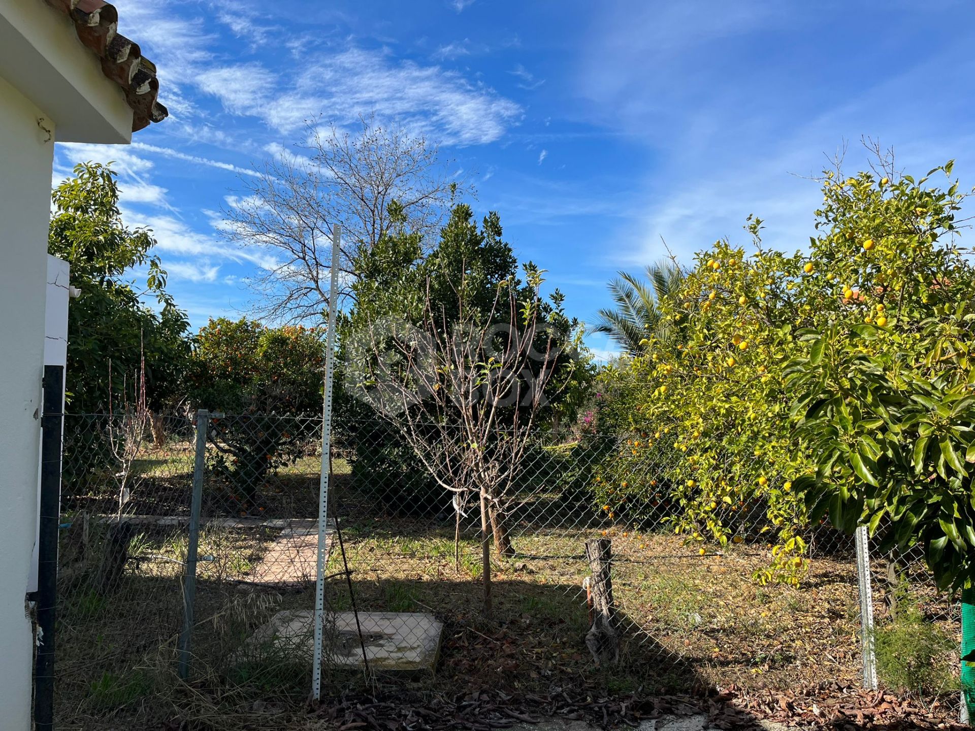Country house with equestrian facilities in Alhaurín el Grande.