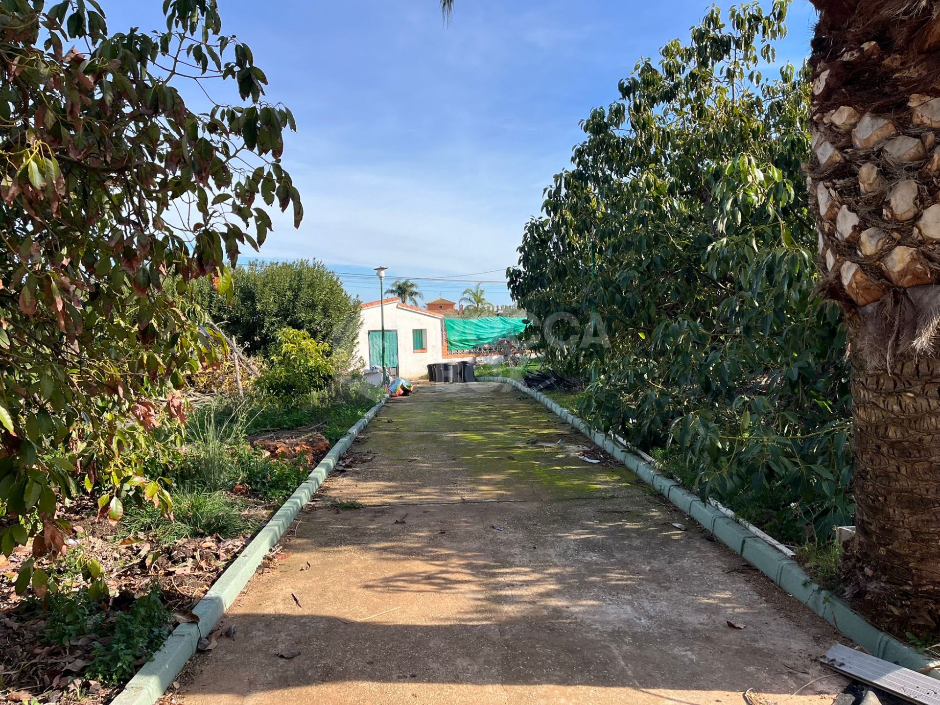 Country house with equestrian facilities in Alhaurín el Grande.