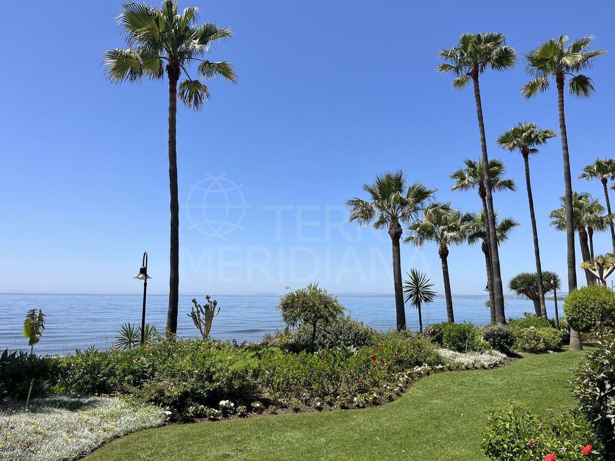 Ground Floor Apartment in Estepona