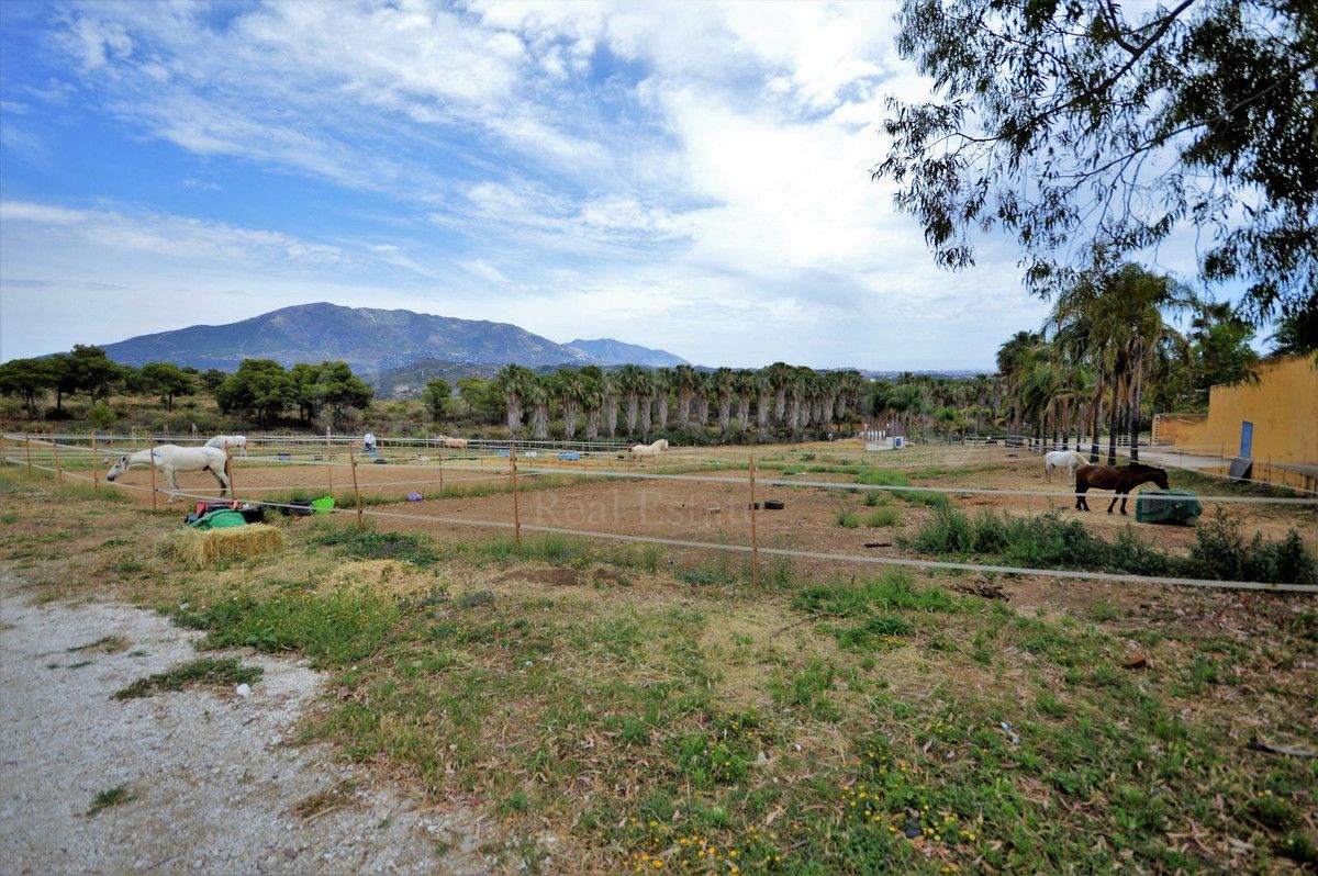 Finca en Mijas