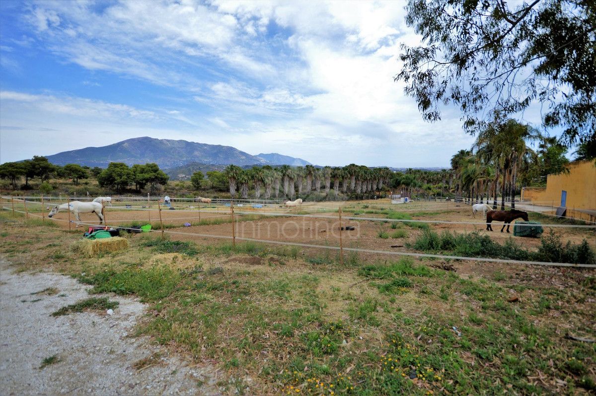 Finca in Mijas