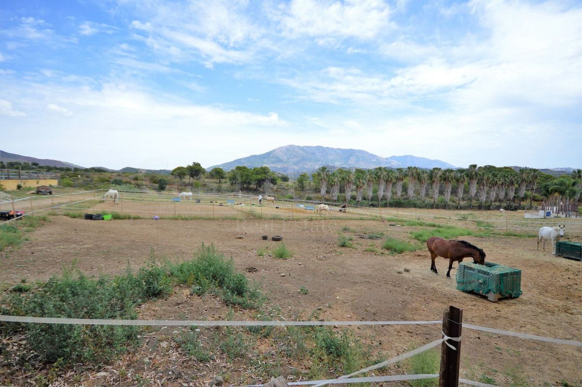 Finca en Mijas