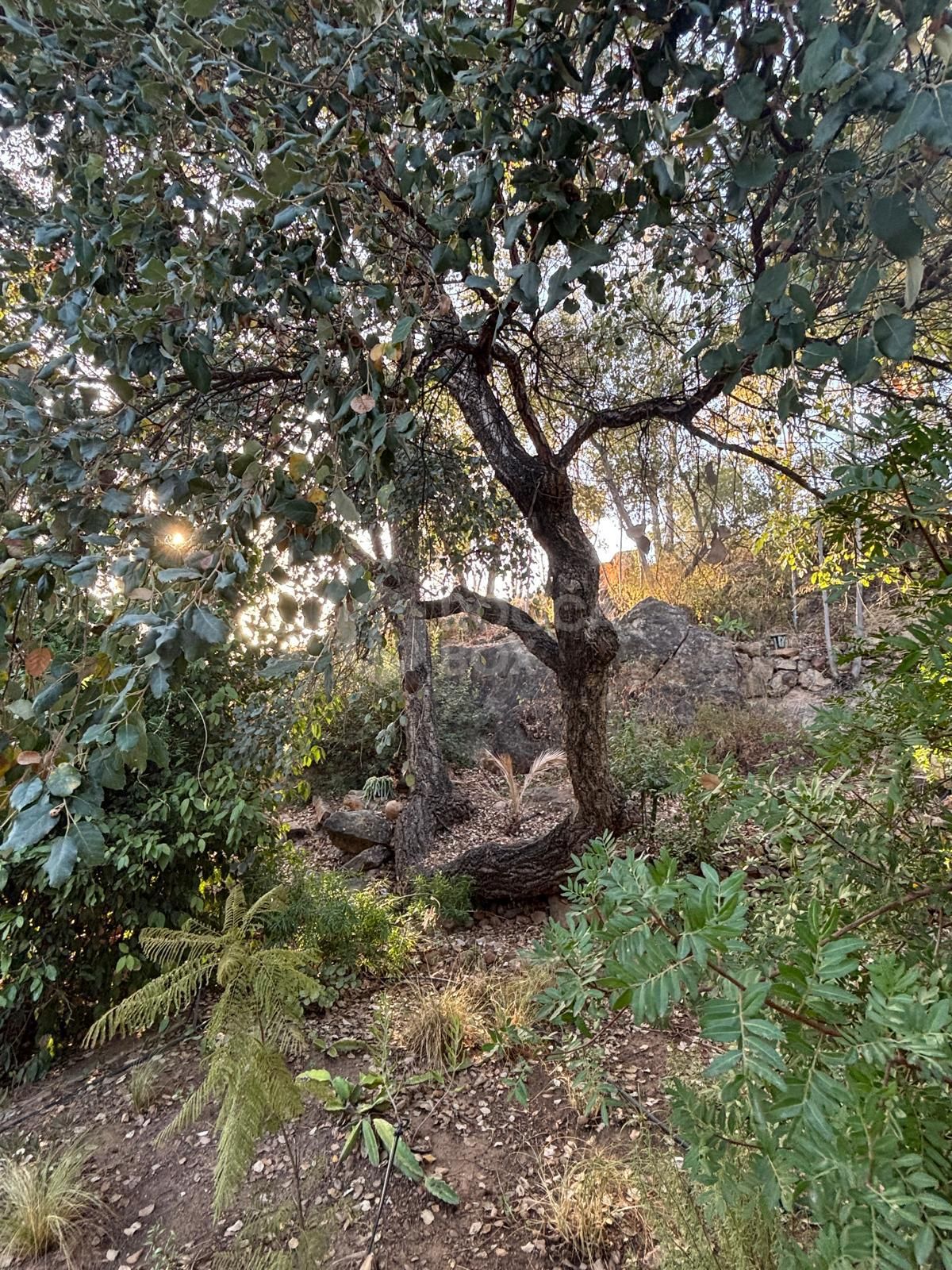 Villa for sale in La Resina Golf, Estepona East