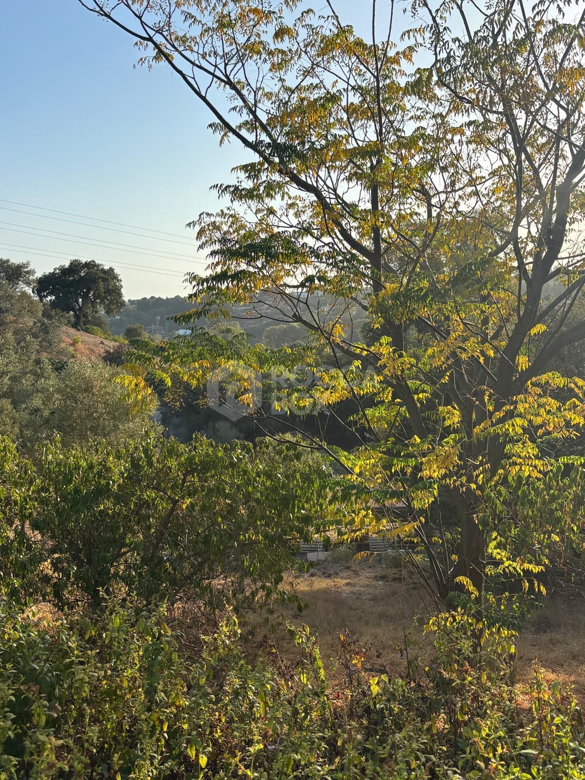 Villa for sale in La Resina Golf, Estepona East