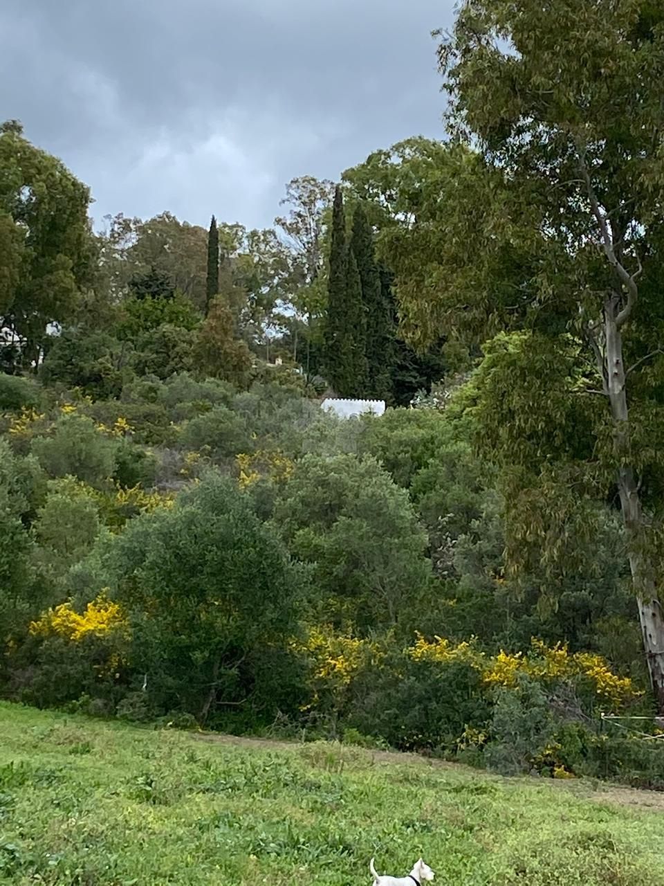 Willa w La Resina Golf, Estepona