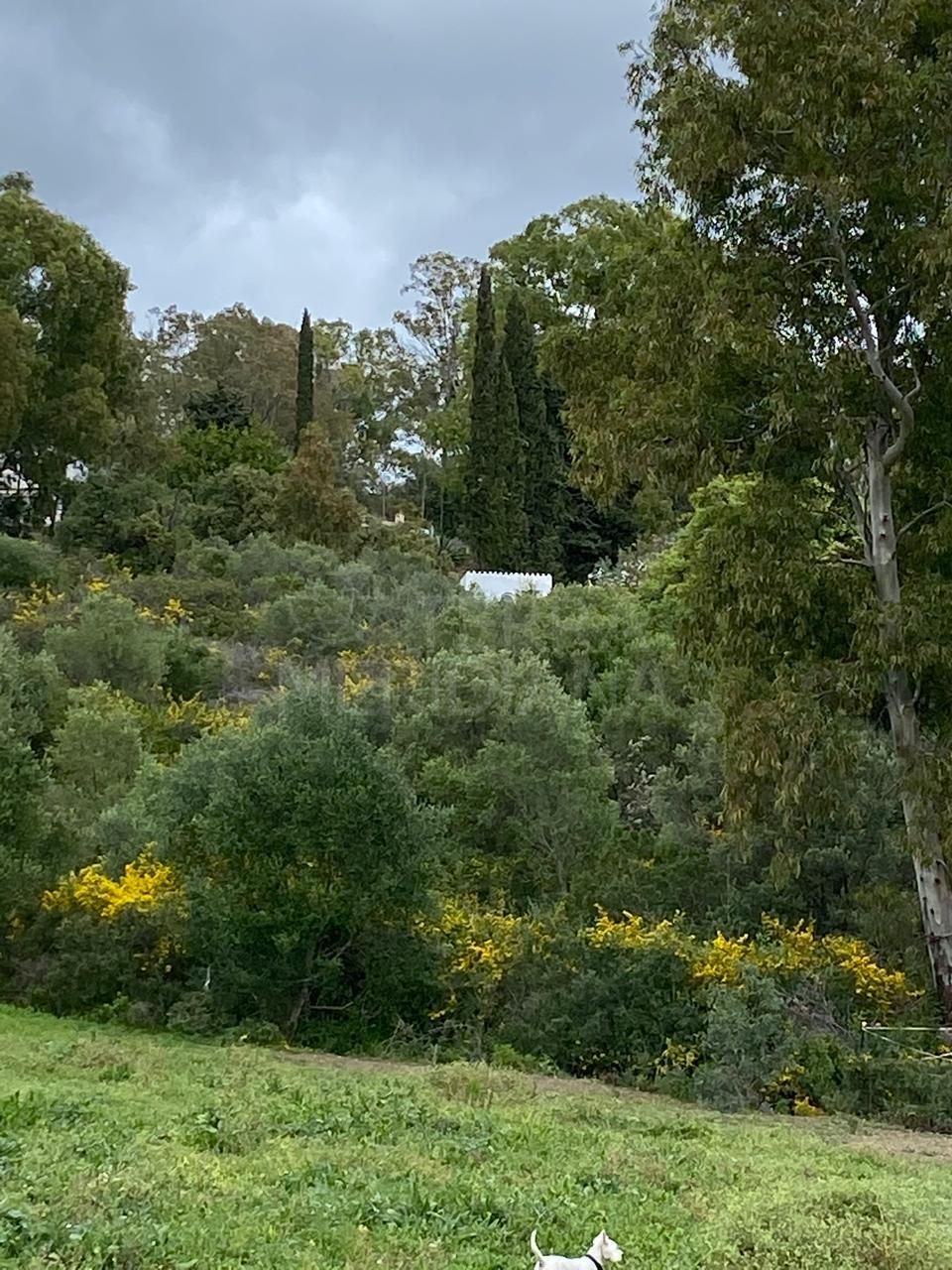 Villa in La Resina Golf, Estepona