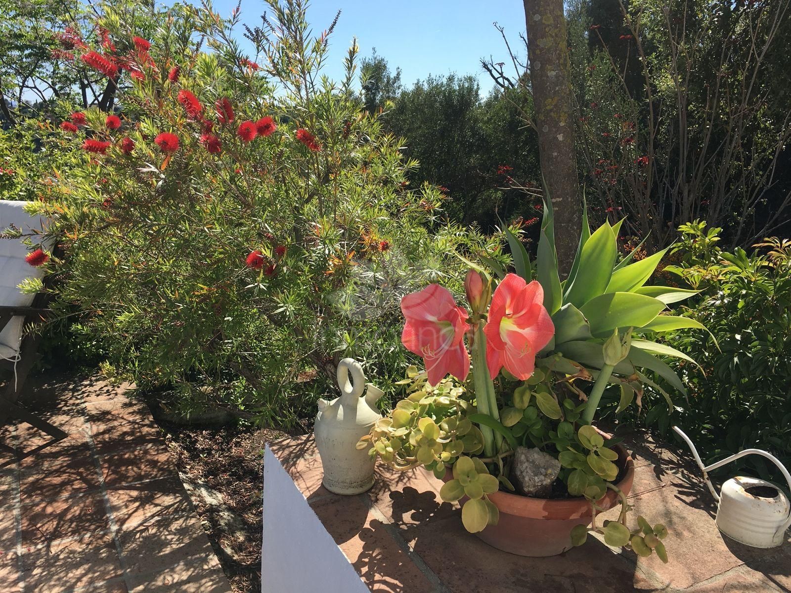 Villa in La Resina Golf, Estepona