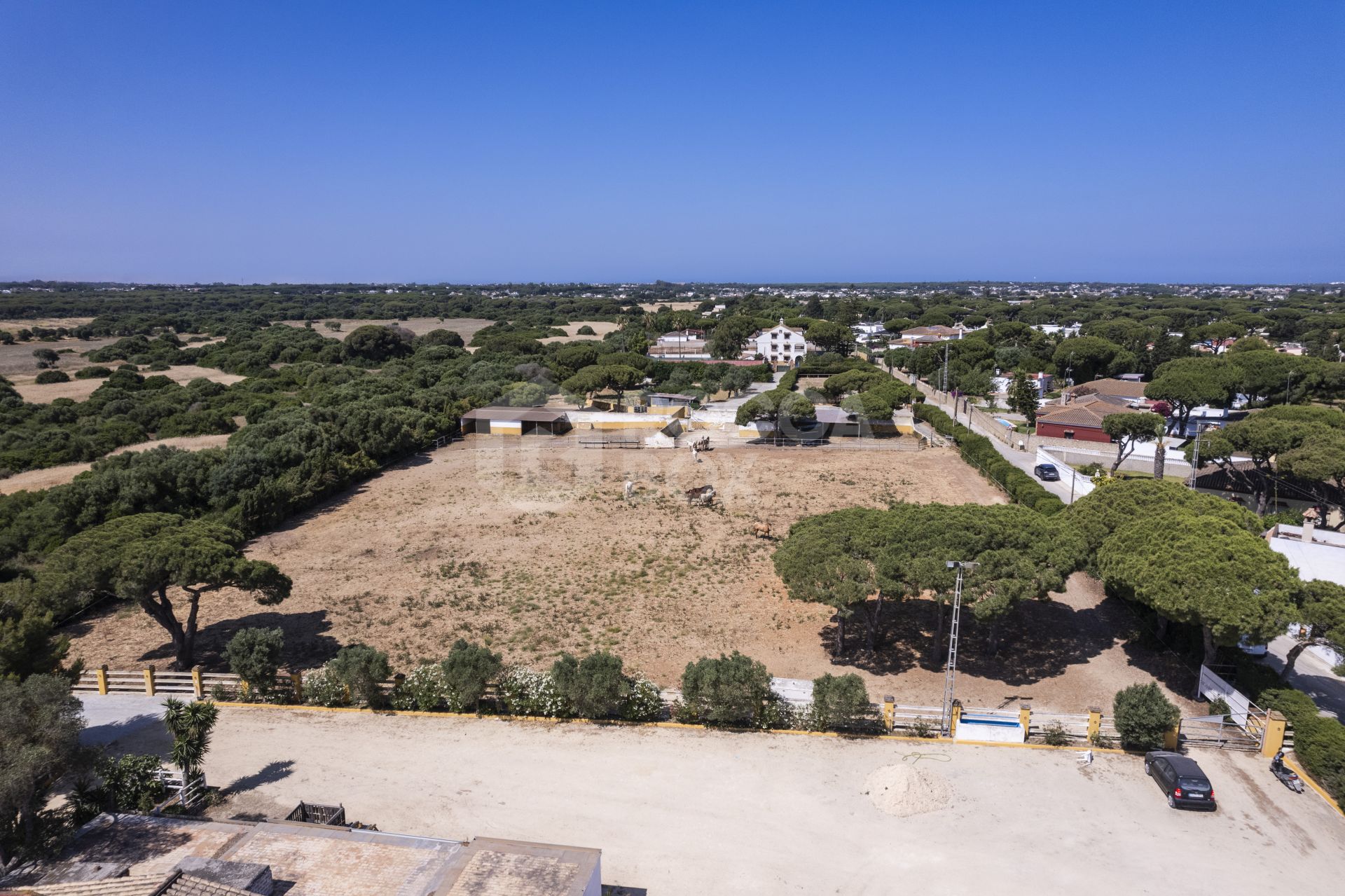 Equestrian Gastronomic and Rural Estate in Chiclana de la Frontera