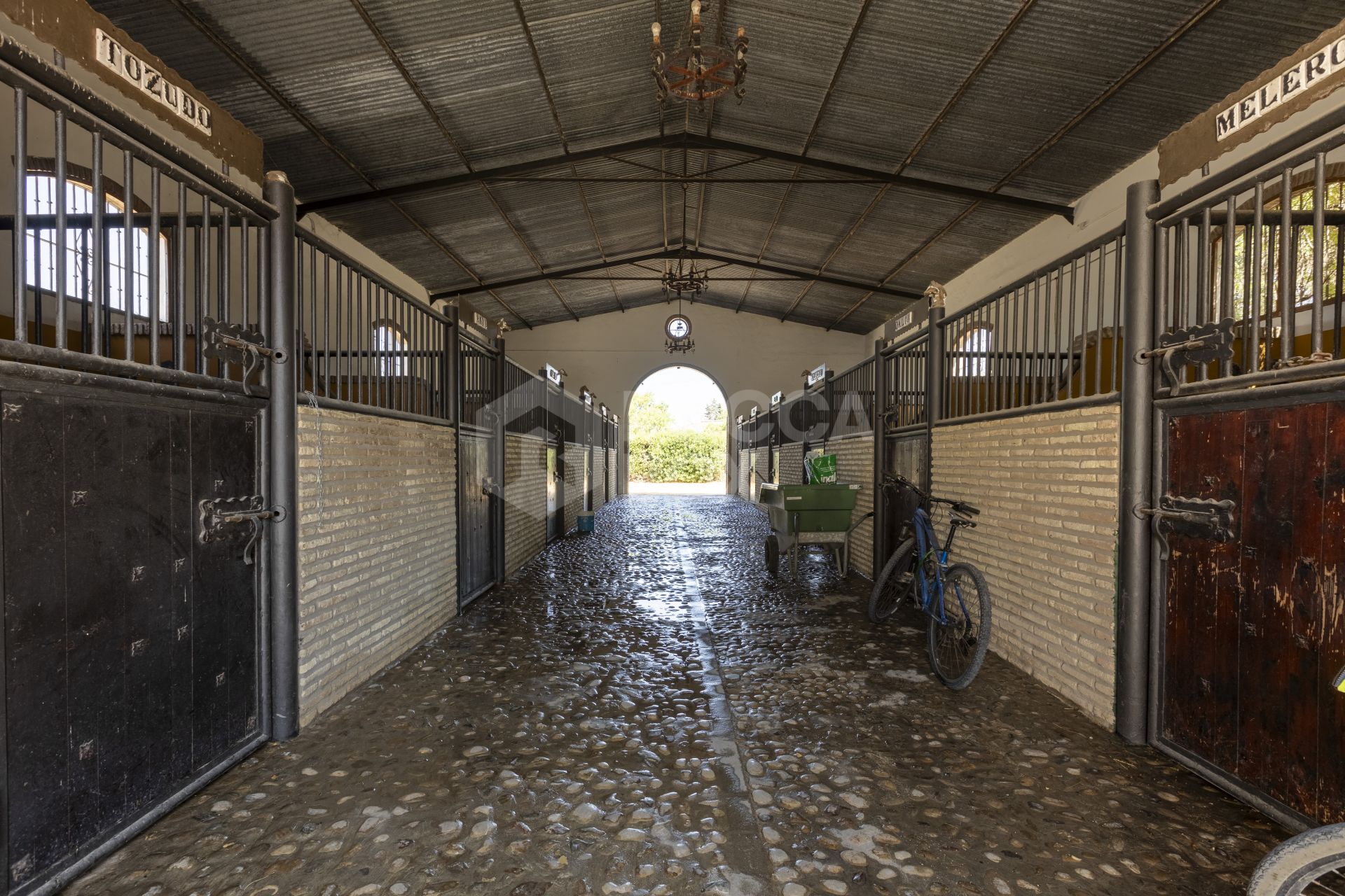 Equestrian Gastronomic and Rural Estate in Chiclana de la Frontera