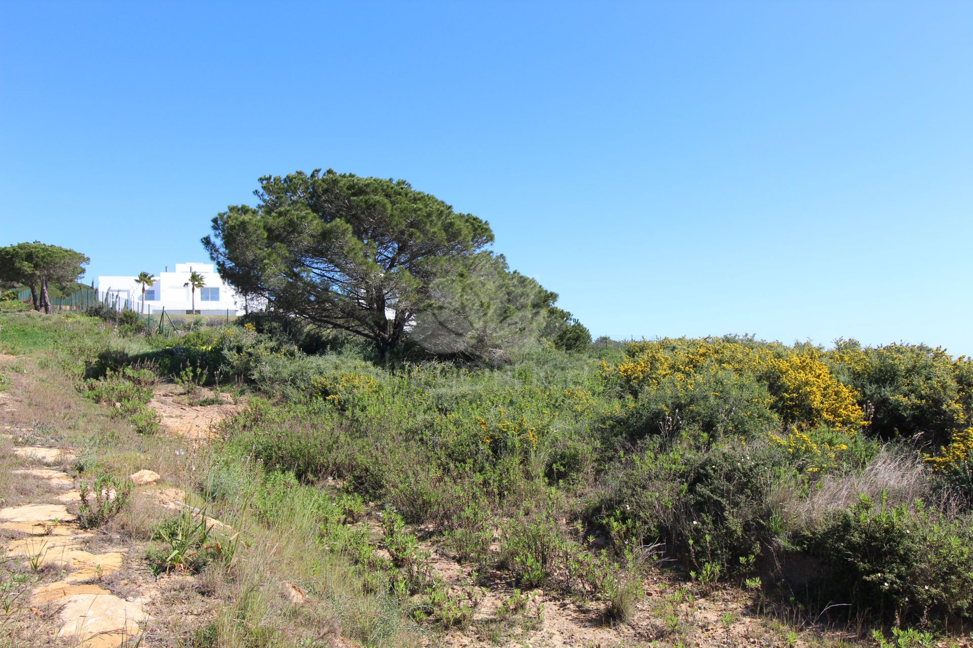 Villa en Sotogrande