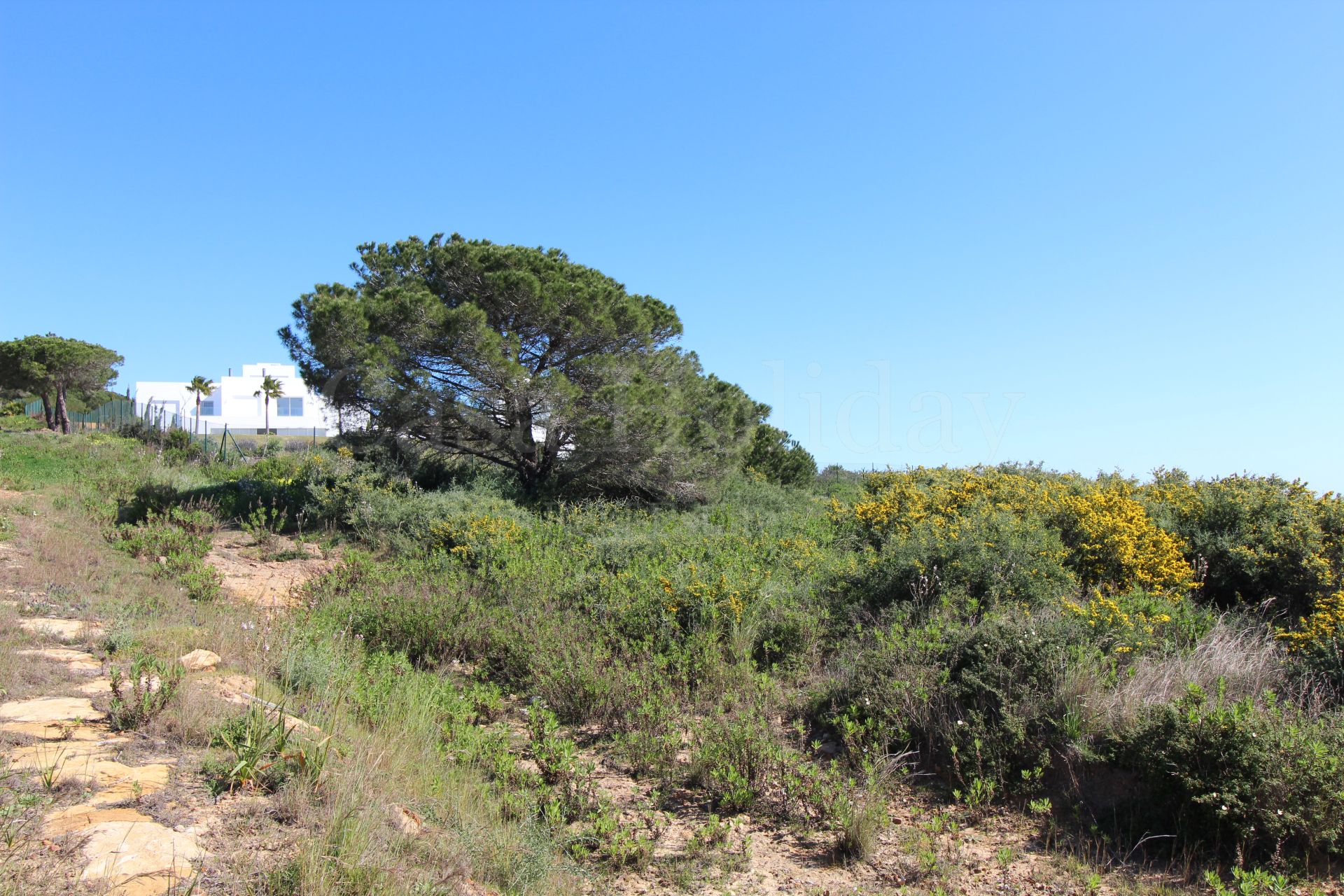 Villa in Sotogrande
