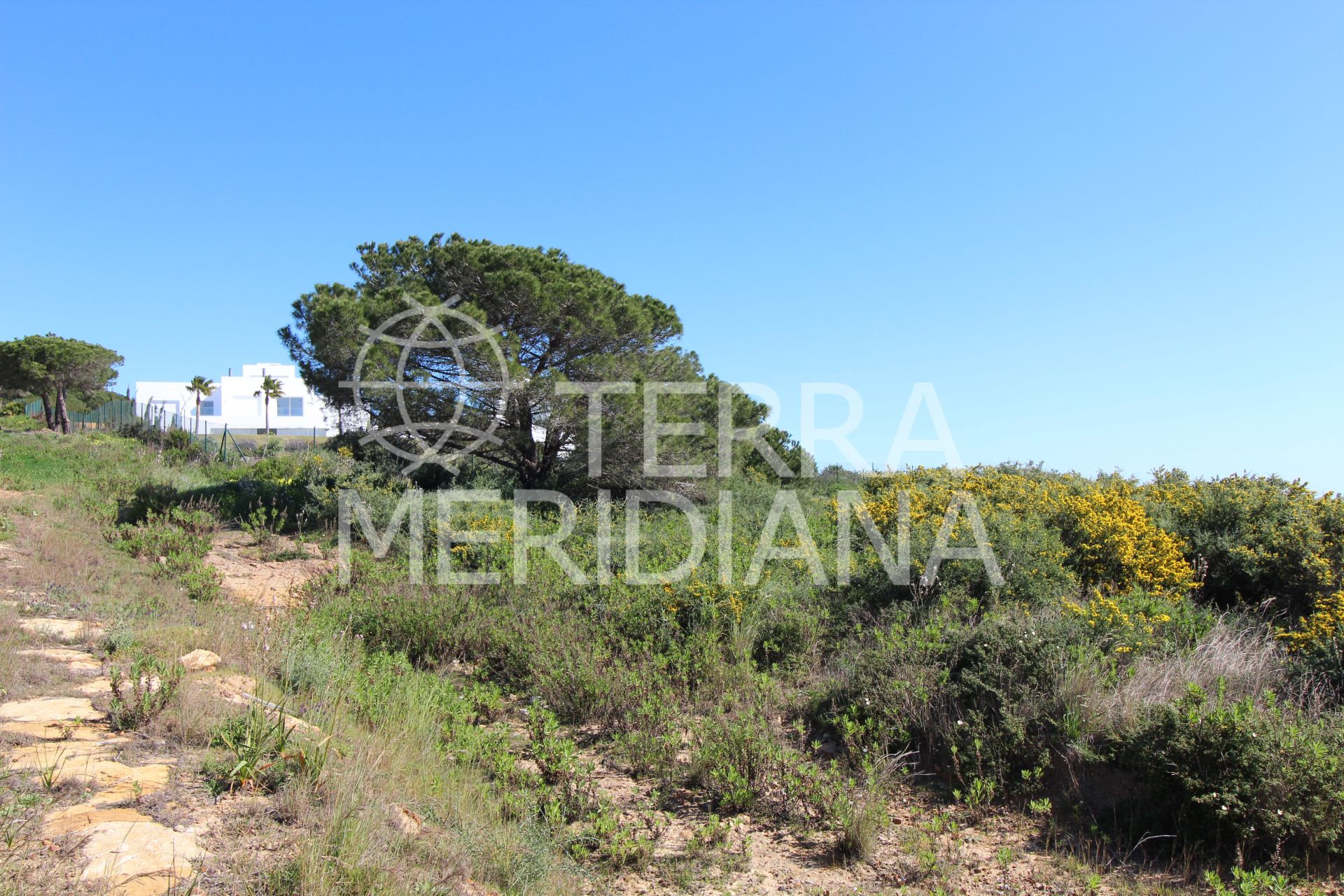 Villa in Sotogrande