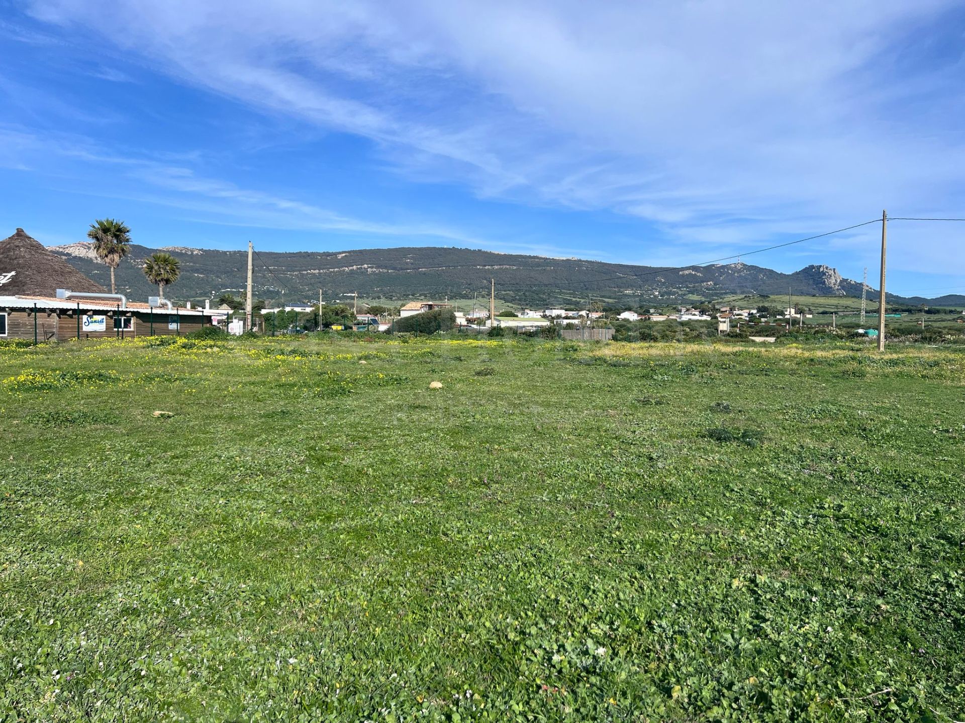 Plot in Bolonia, Tarifa