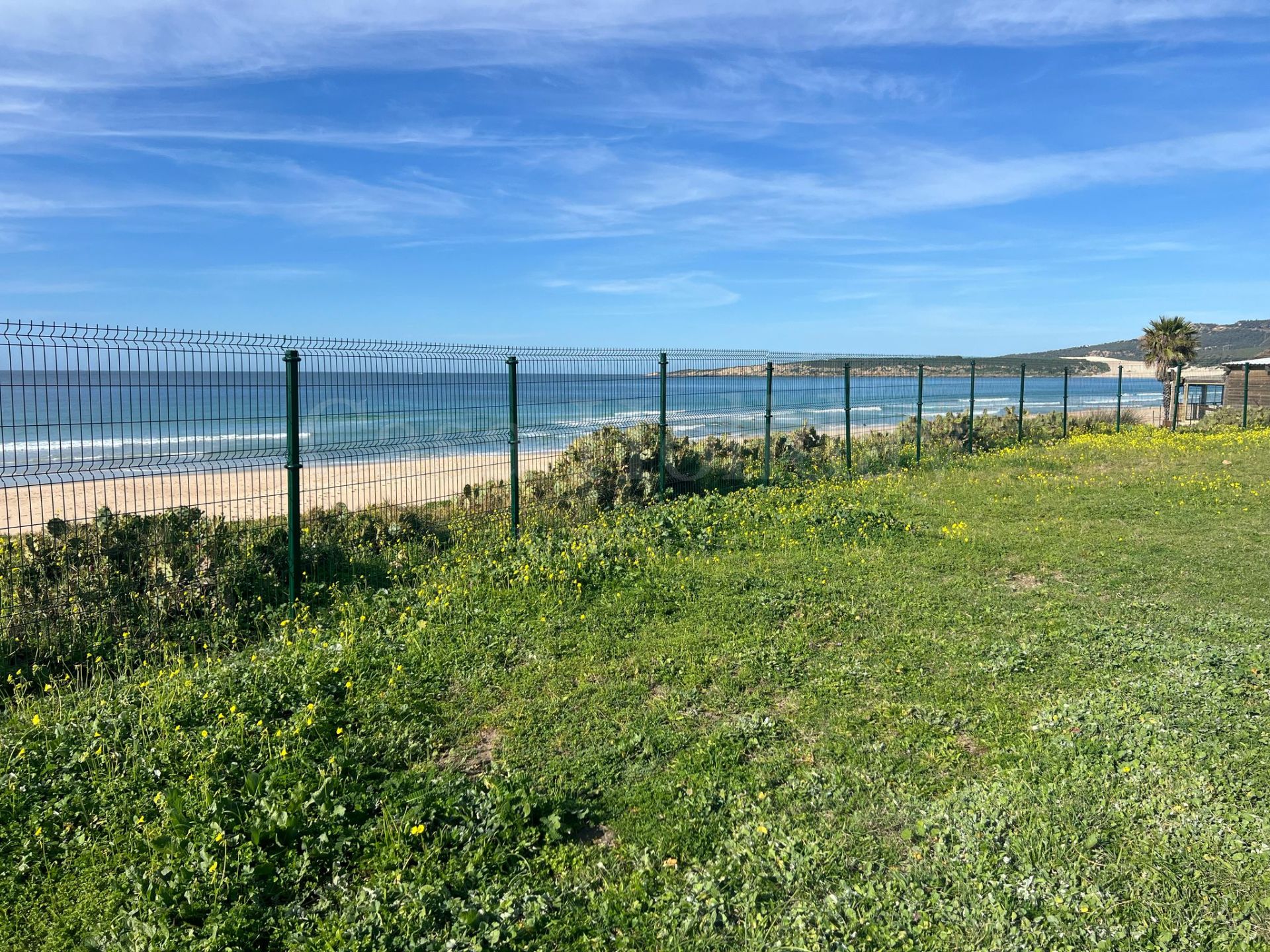 Plot in Bolonia, Tarifa
