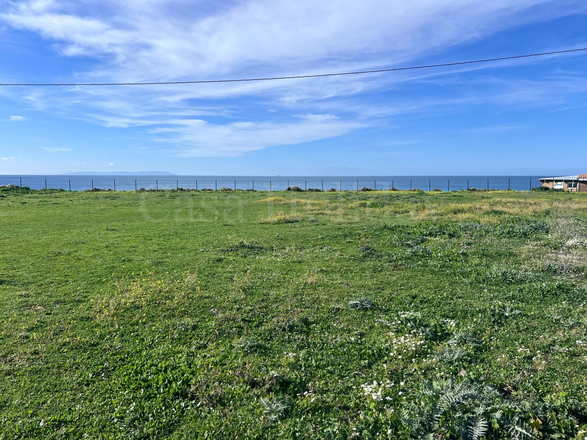 Plot in Bolonia, Tarifa